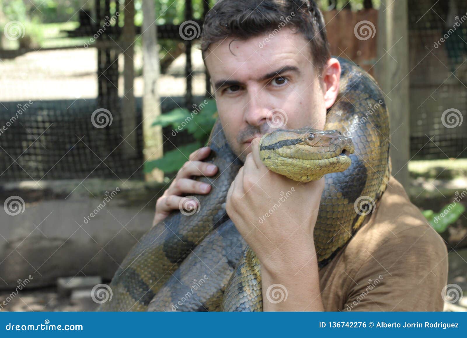 Man with a Giant Anaconda Around His Neck Stock Photo - Image of horror,  attack: 136742276