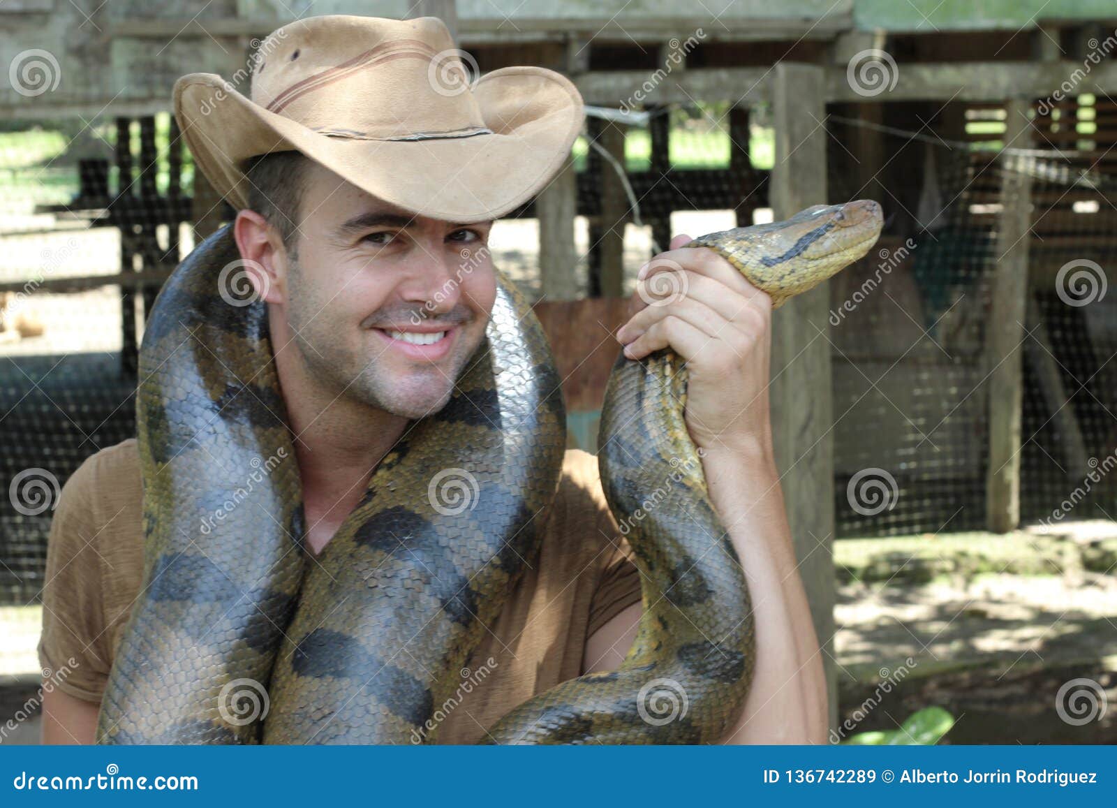 Man with a Giant Anaconda Around His Neck Stock Image - Image of