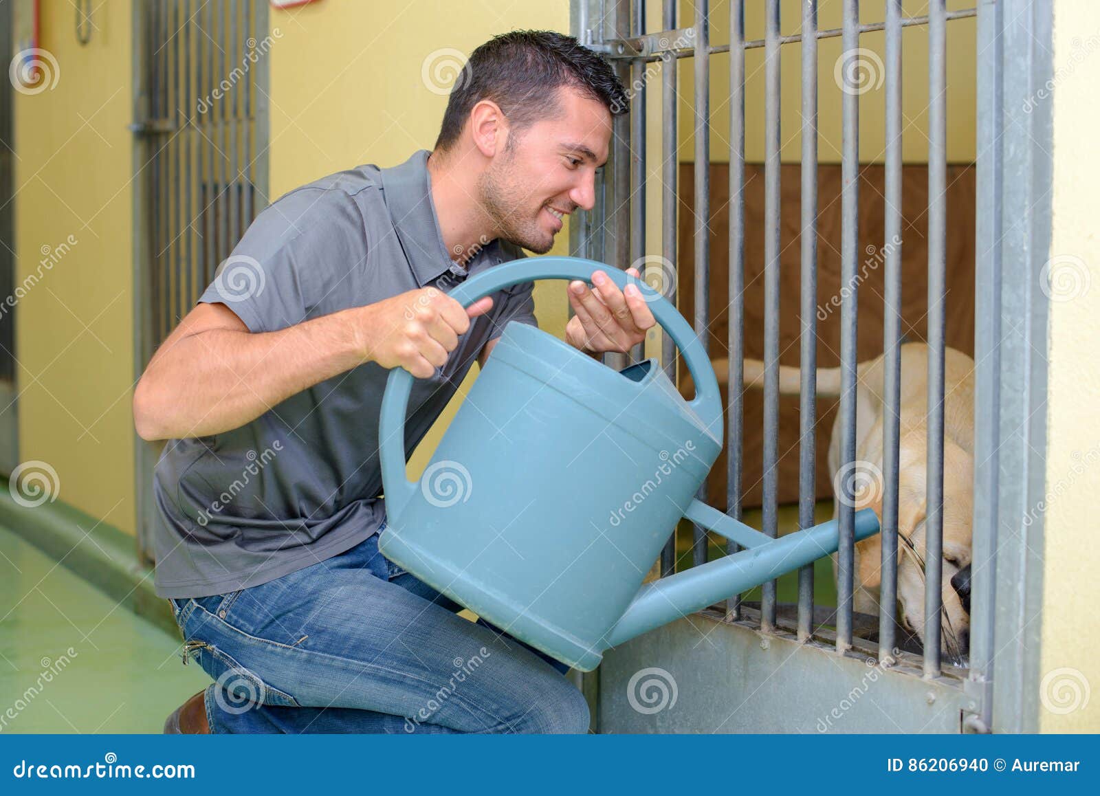 Man giving water to dog stock photo. Image of abandoned 86206940