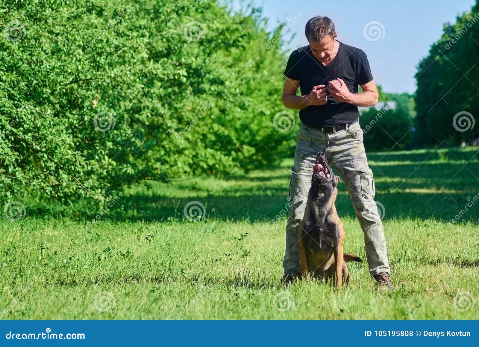 The man is going to play with the dog. The dog is looking at the ball.