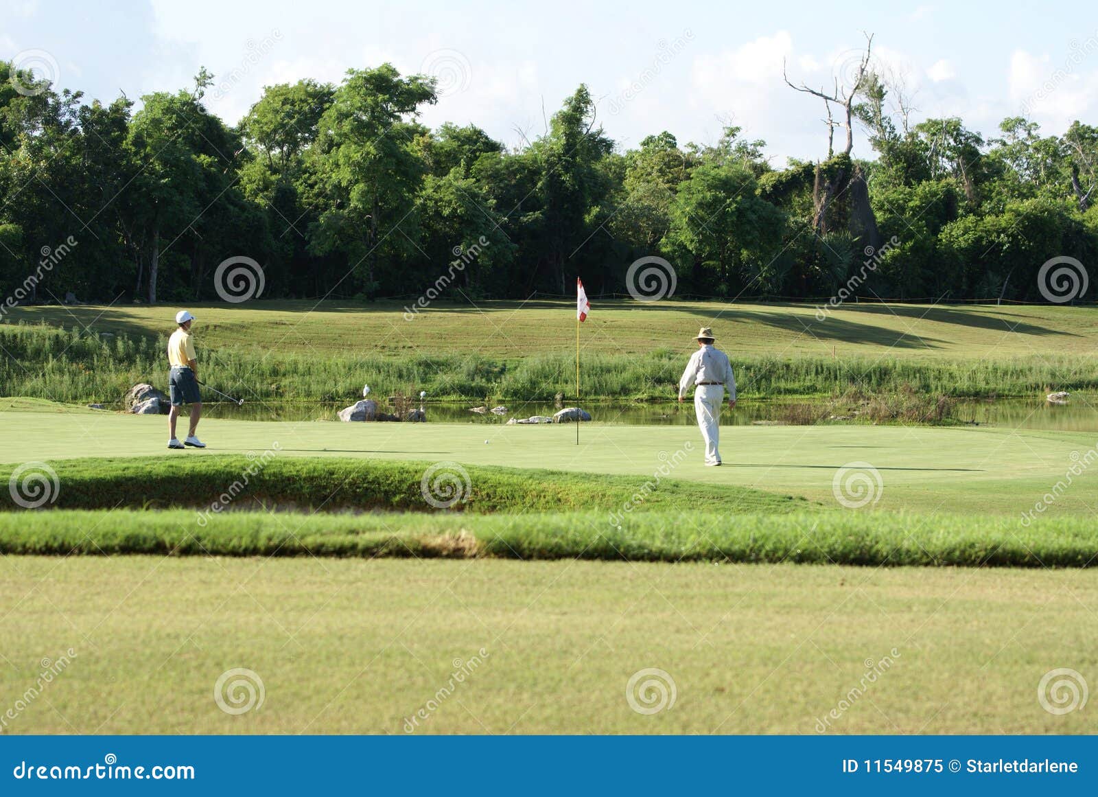 Man Golfing with Caddy stock image. Image of green, people 11549875