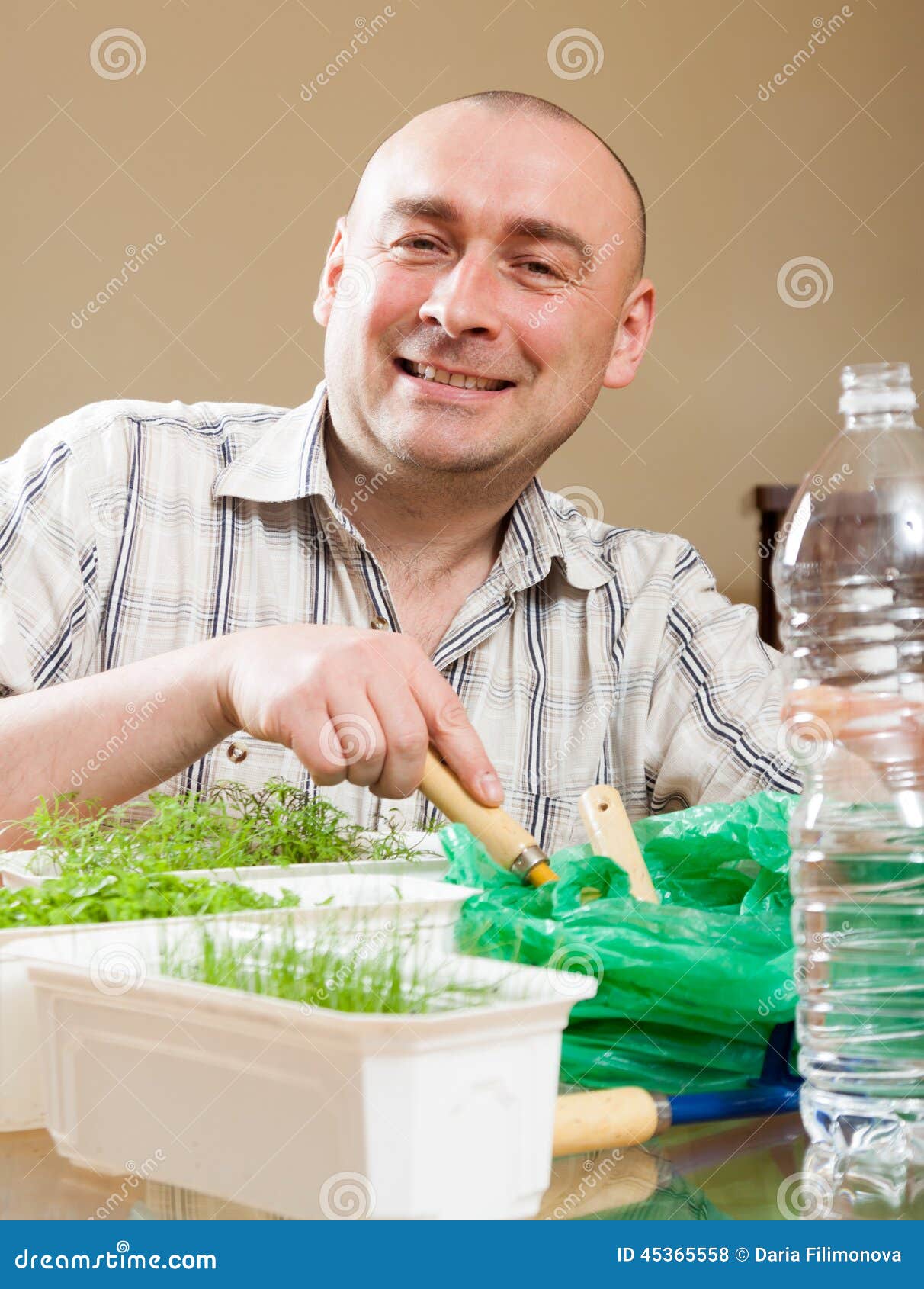 Man Growing Parsley and Dill Stock Photo Image of plant, small 45365558