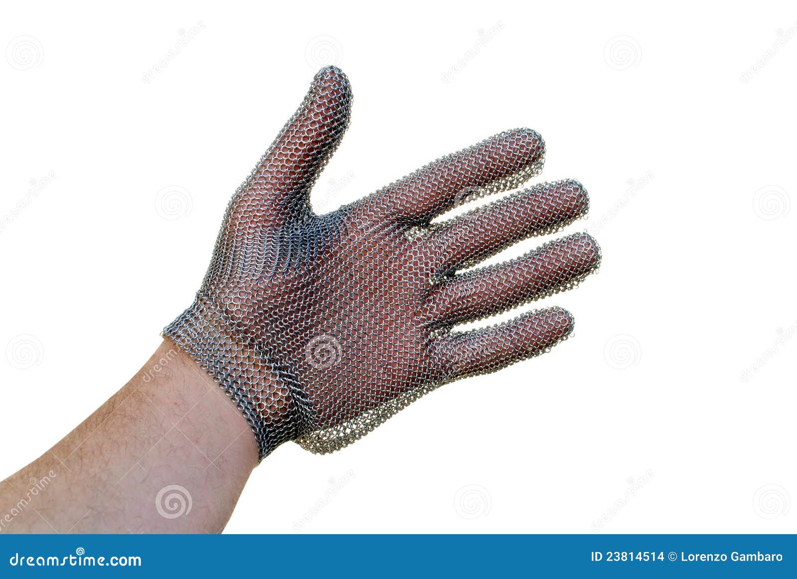 Man Hand with a Butcher Glove Stock Photo - Image of protective, device:  23814514
