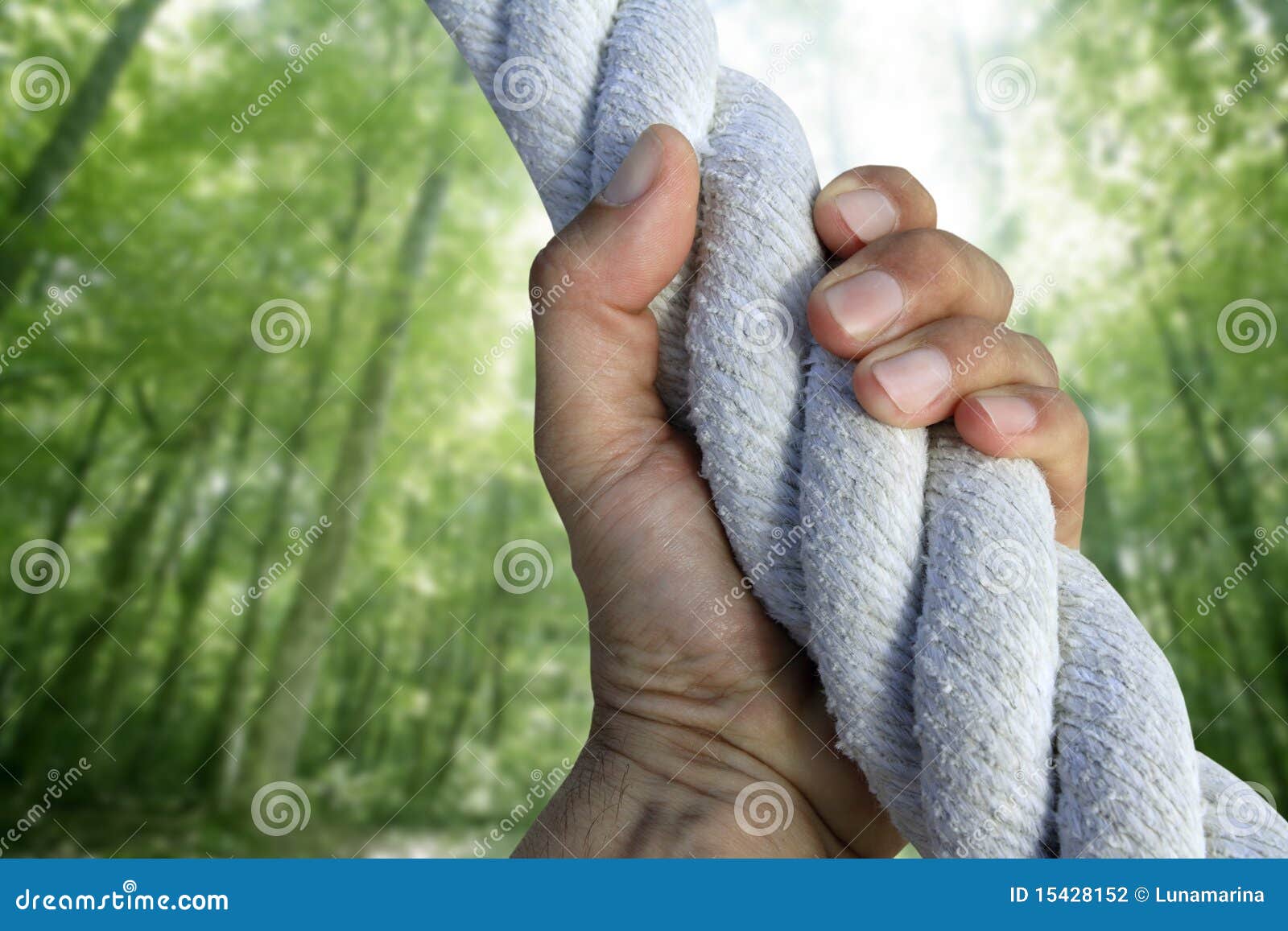 man hand grab grip climbing green forest rope