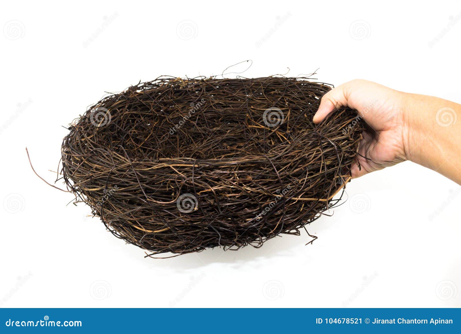 Man Hand Is Holding The Large Artificial Bird Nest Stock Image Image Of Artificial Chicken 104678521