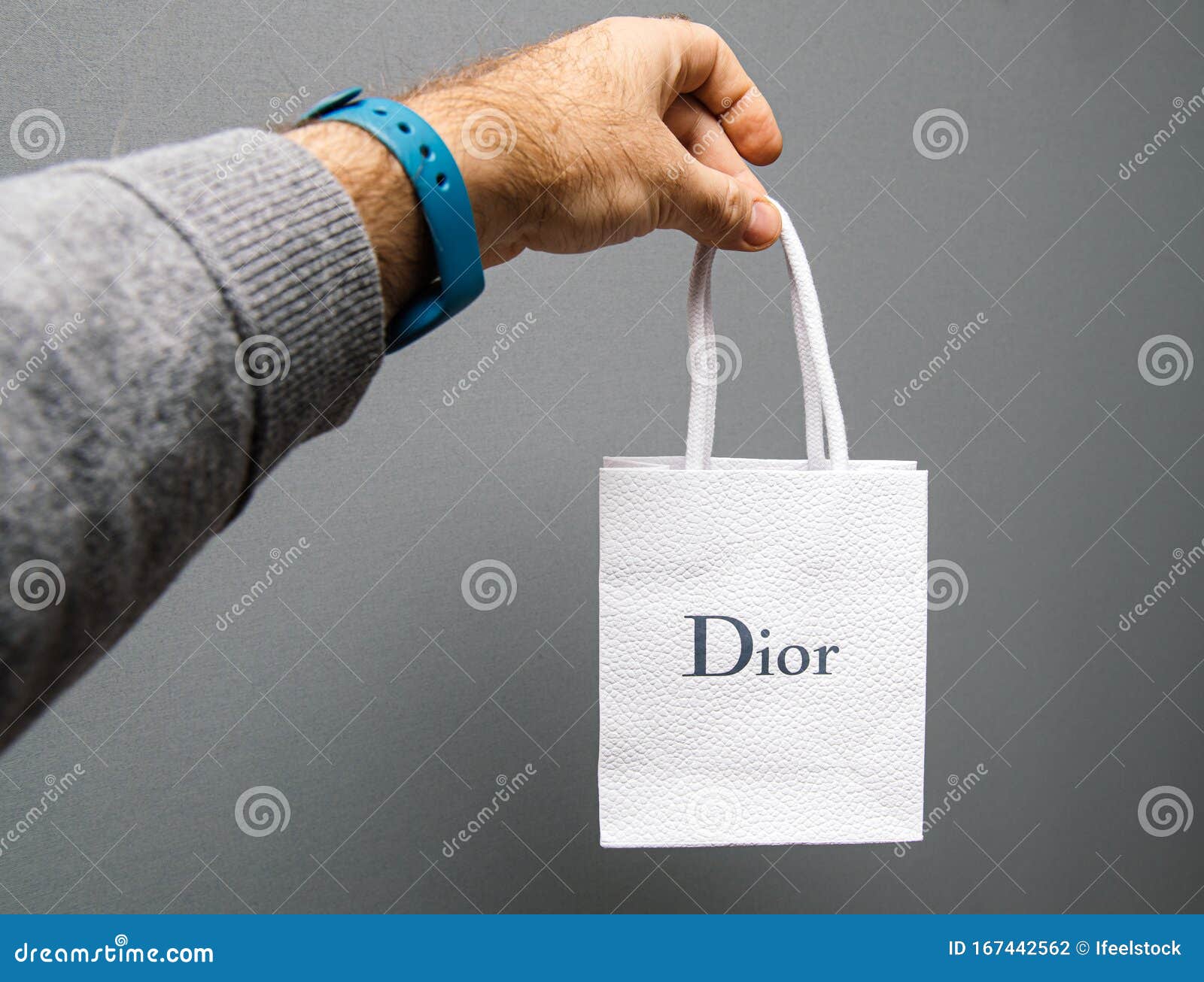 paper bag dior