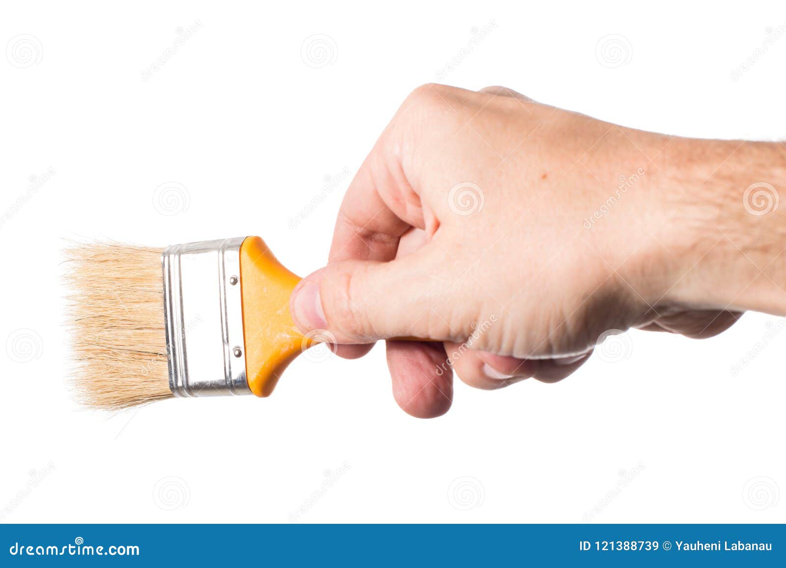 Man Hand Holding A Paint Brush Stock Image Image of home, house