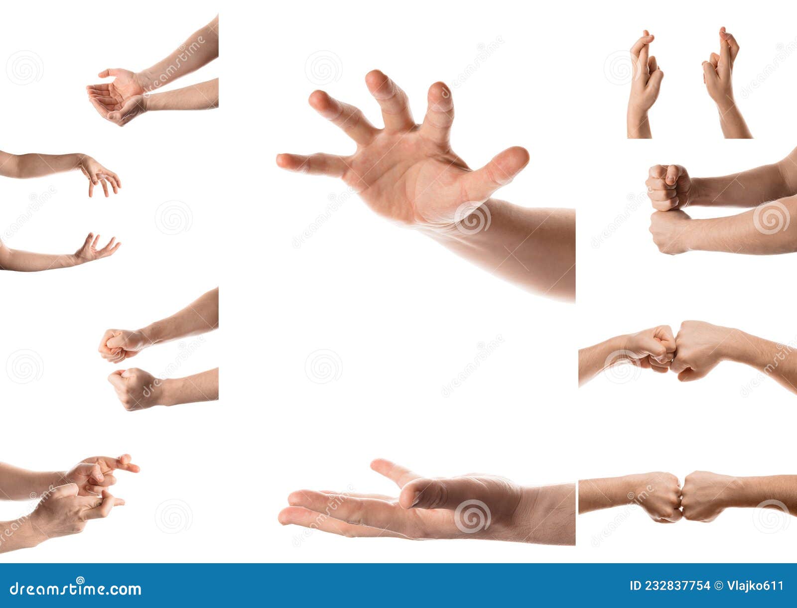 Man Hand with the Various Gesture, Open Hand, Pointing Finger, Hitting
