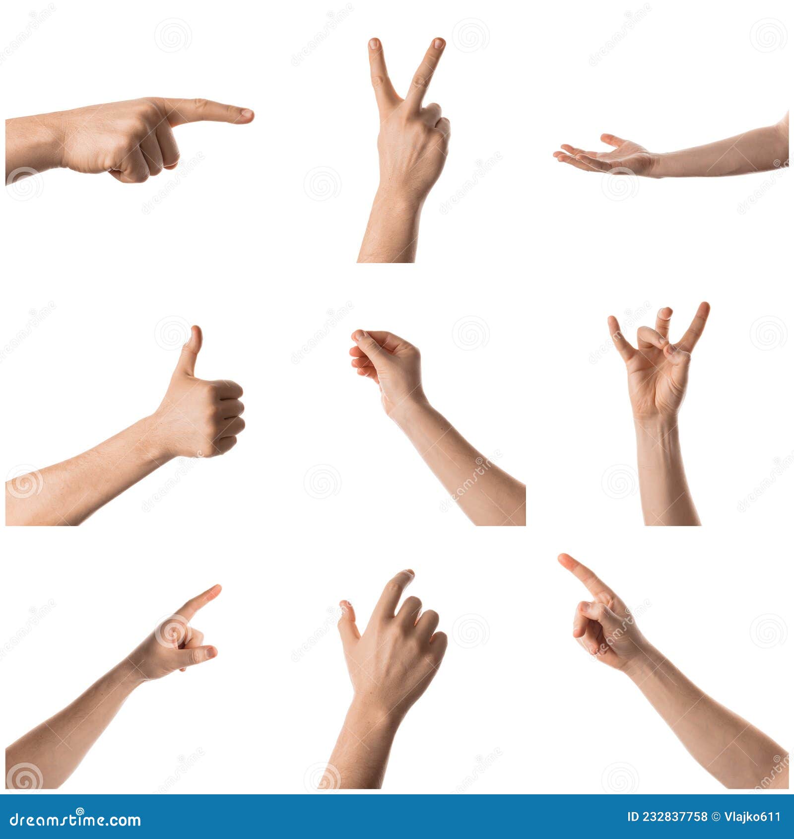 Man Hand with the Various Gesture, Open Hand, Pointing Finger, Hitting