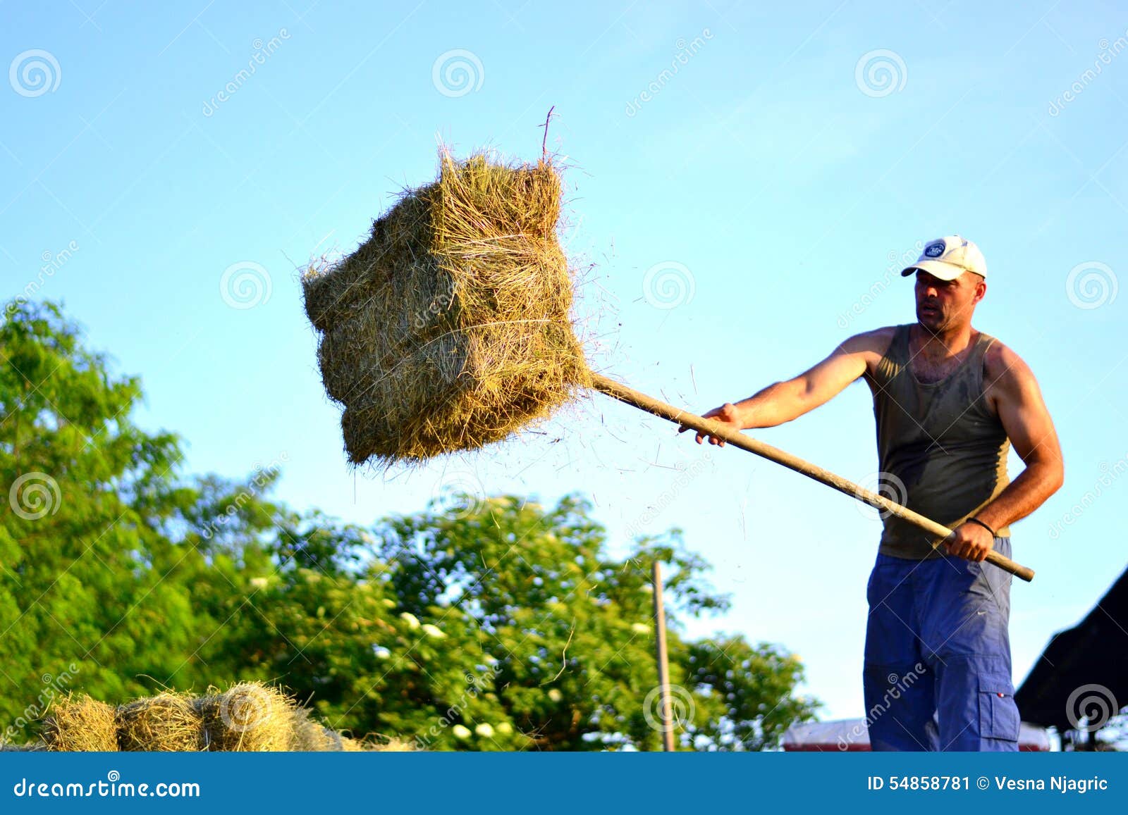 Man with hay bales stock image. Image of bales, fork 54858781