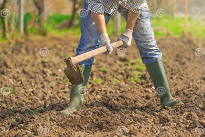 [Image: man-hoeing-vegetable-garden-soil-new-gro....jpg?w=400]