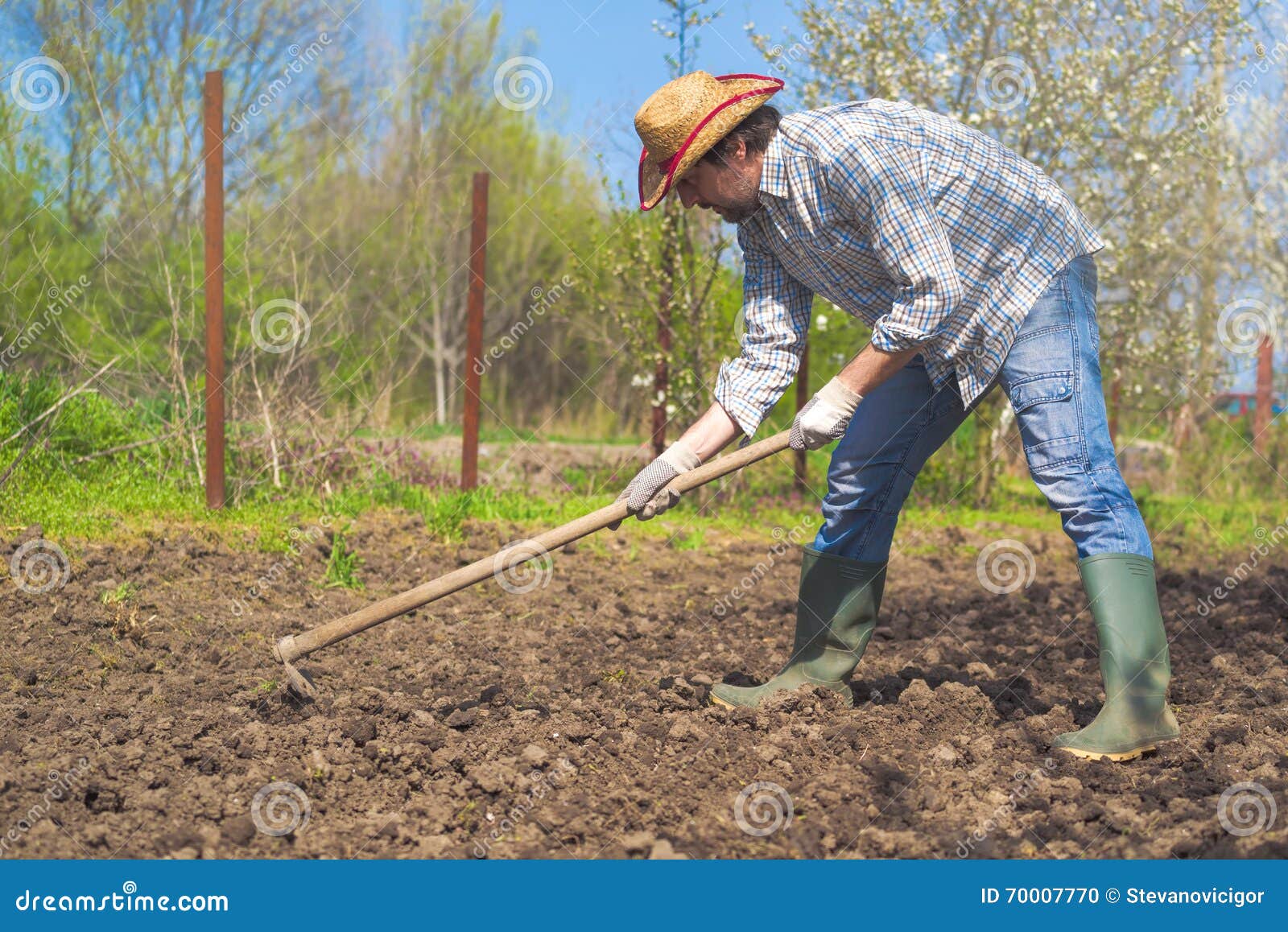 Man Hoeing Vegetable Garden Soil Stock Photo - Image of caucasian ...