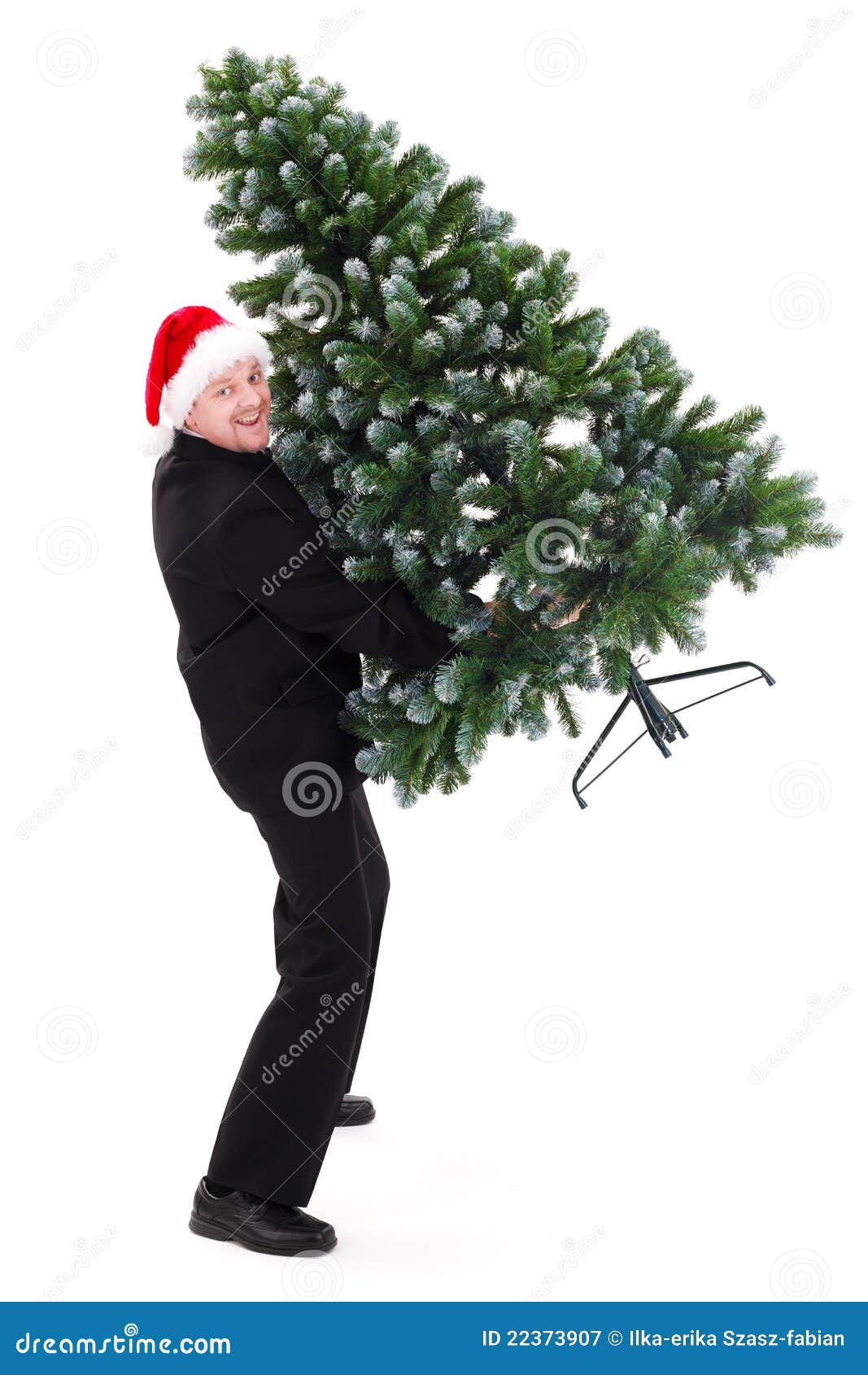 Man Holding Bald Christmas Tree Stock Image Image 22373907