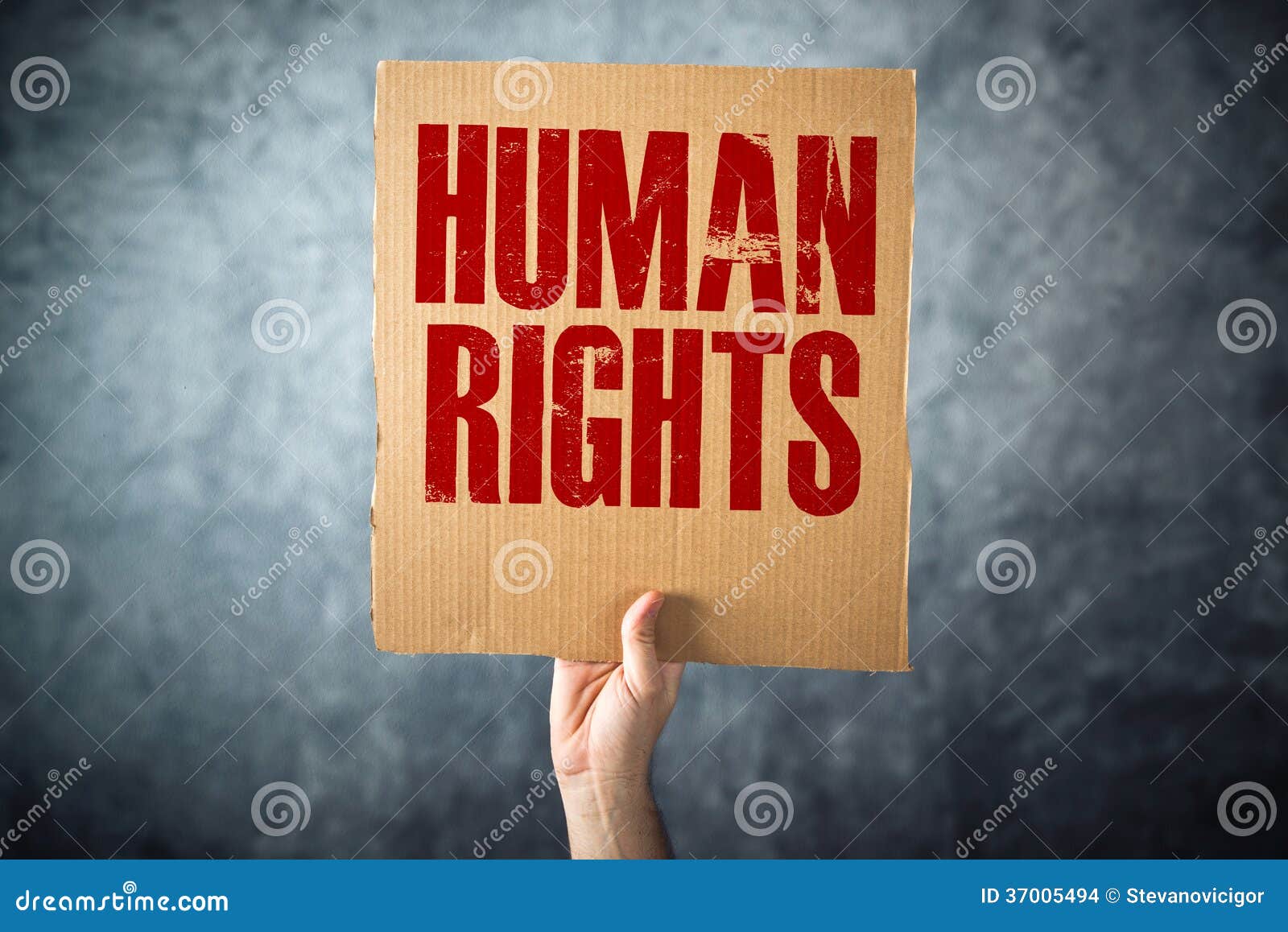 man holding cardboard paper with human rights title