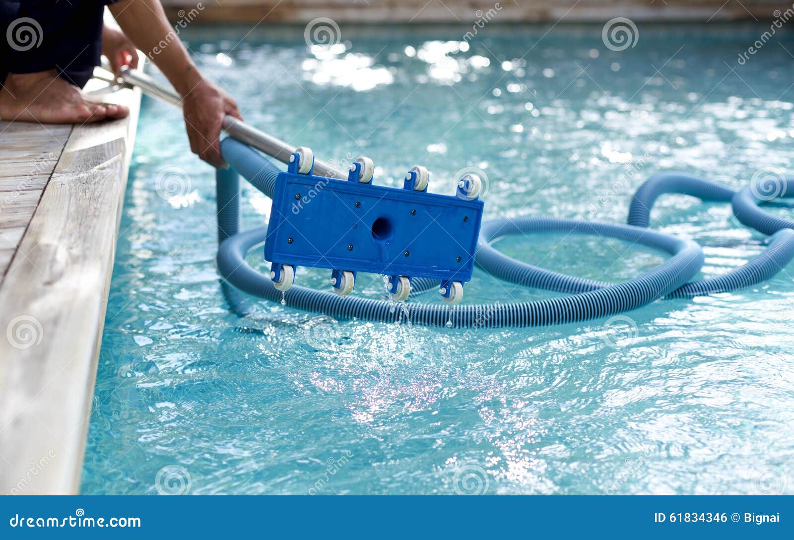 Man Holding an Equipment for Cleaning Swimming Pool Stock Photo Image