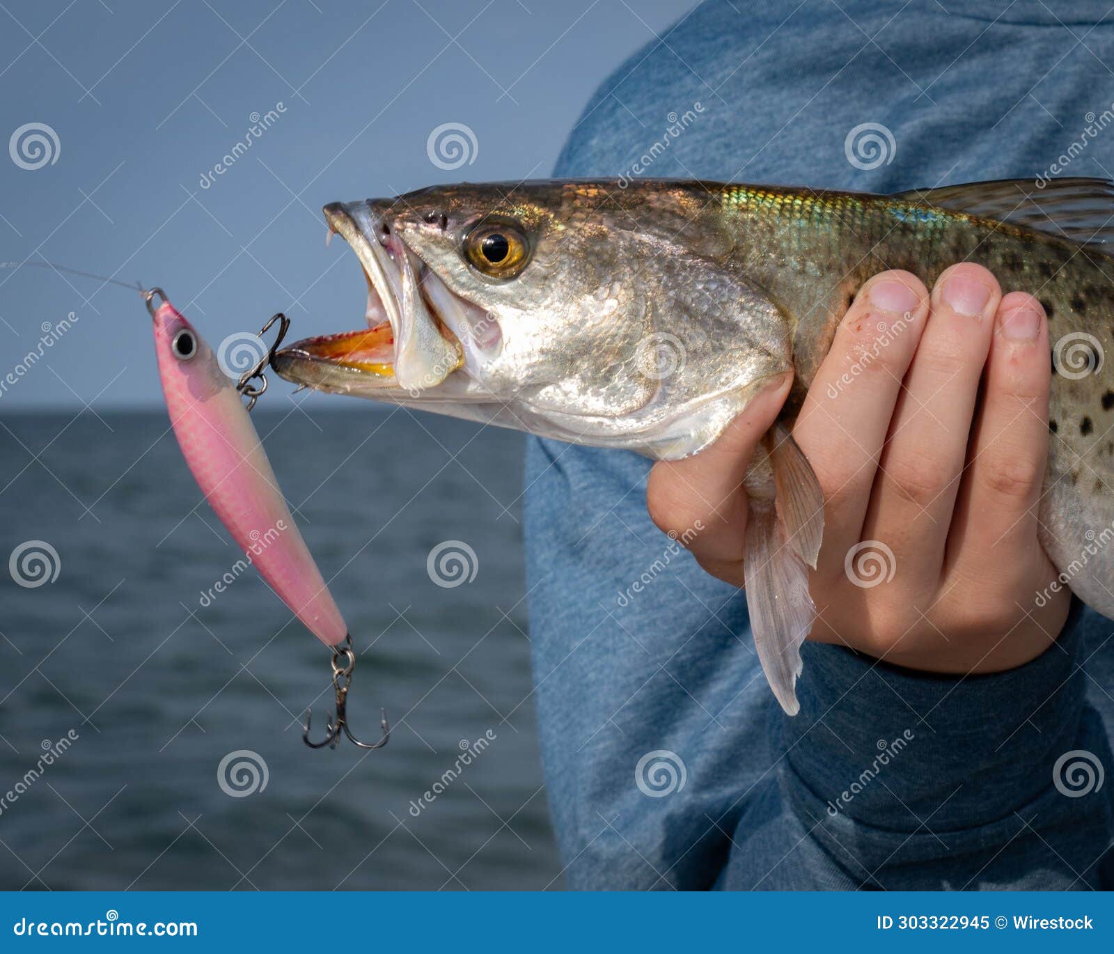 Man Holding a Fish in His Hands with a Hook in Its Mouth Stock Image -  Image of fish, closeup: 303322945