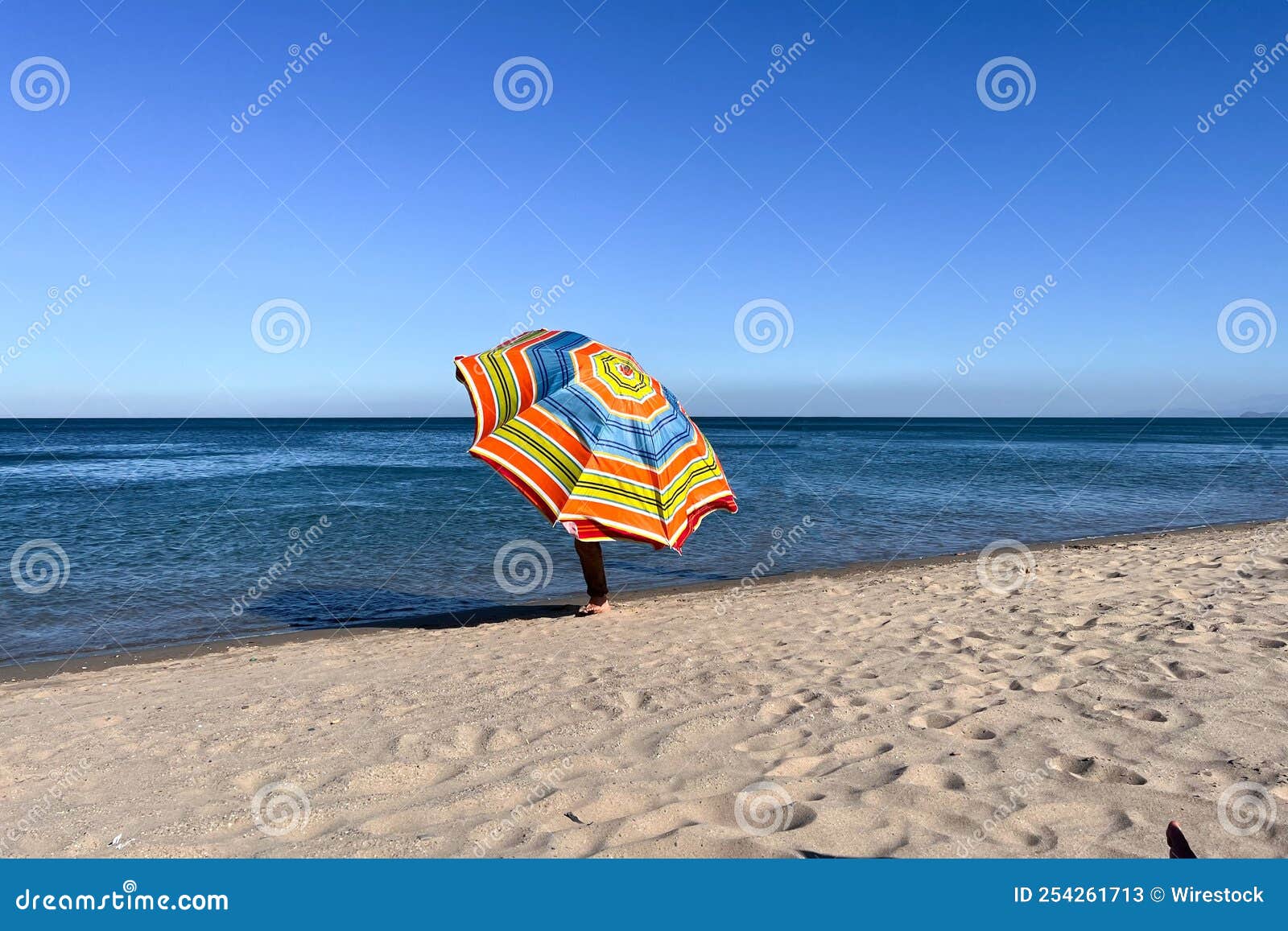 A Man Holding an Open Parasol on the Beach Stock Image - Image of adult ...