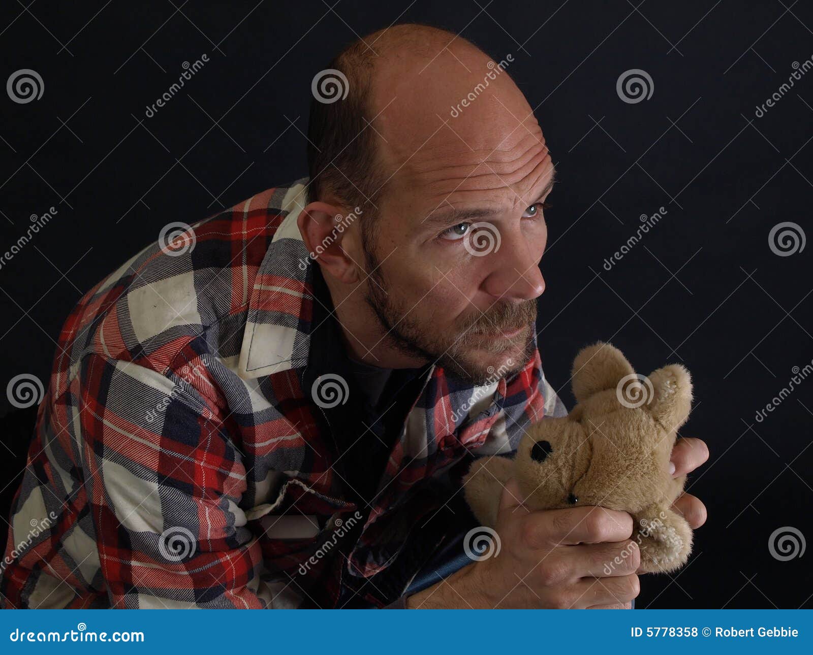 Man Holding a Teddy Bear stock photo. Image of hold, male 5778358