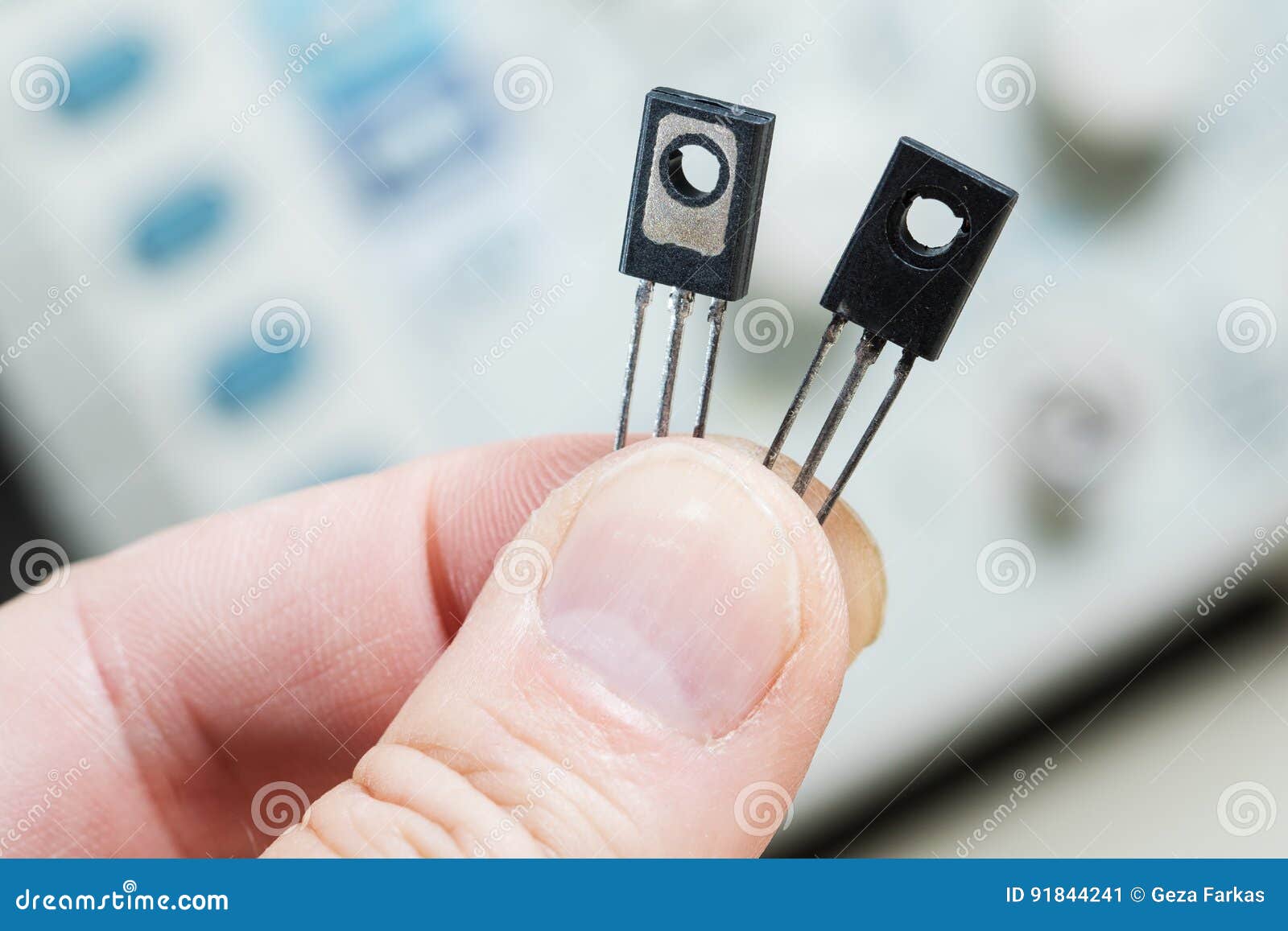 Man Holding Two Transistor Semiconductor Stock Image Image of