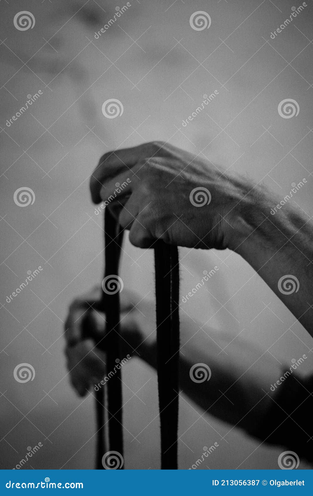 A Man Holds Black Shibari Ropes in His Hand Stock Image - Image of hold ...
