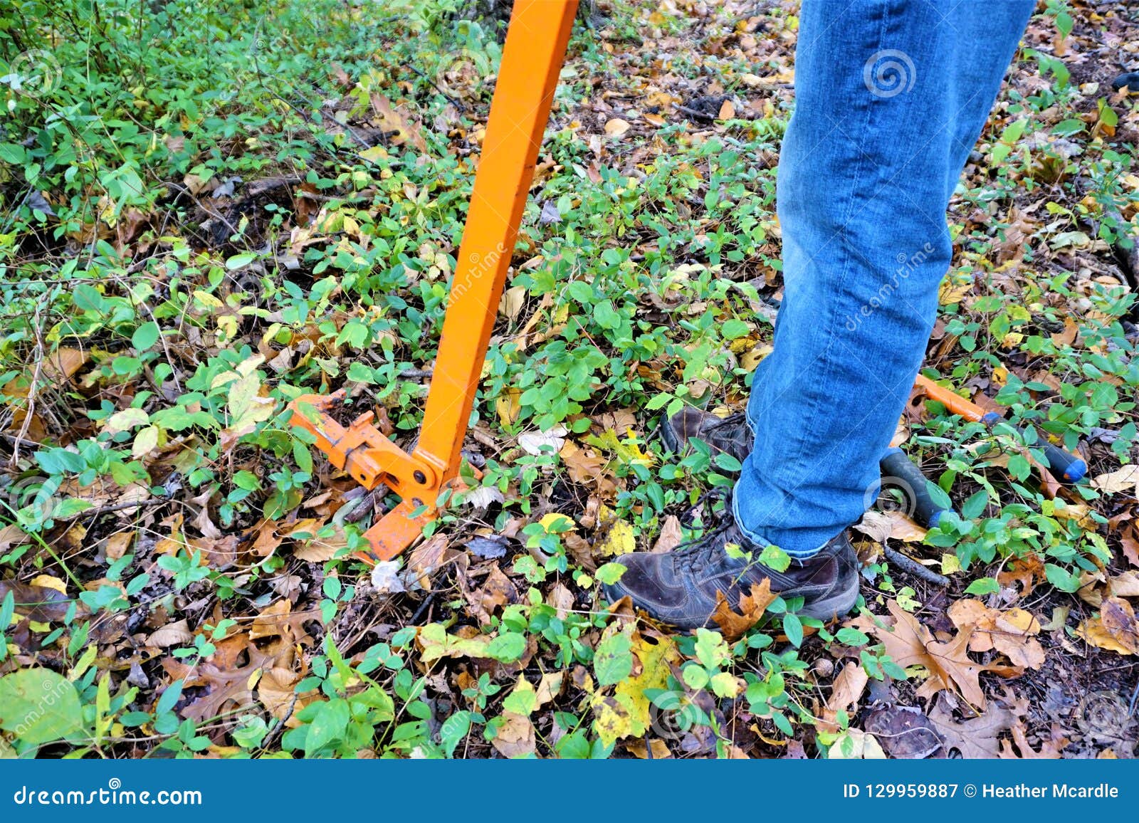 root tool for mac root tool for mac