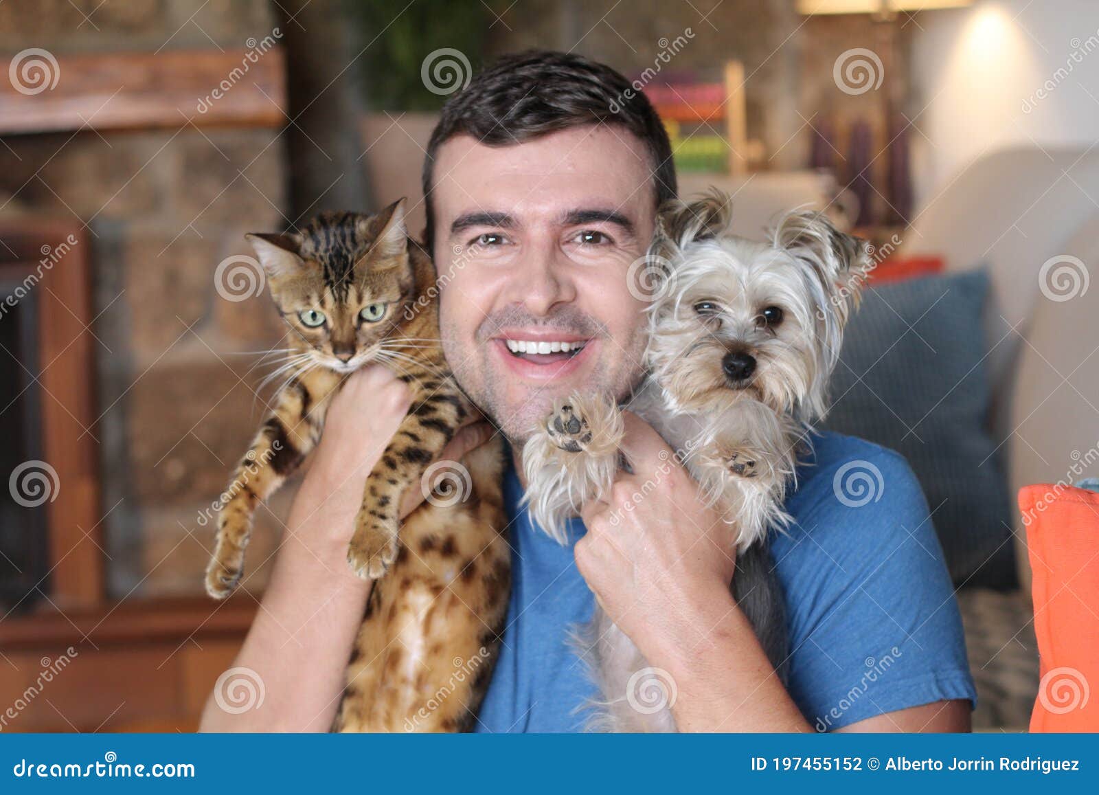 Man at Home with Dog and Cat Stock Photo Image of domestic, pets