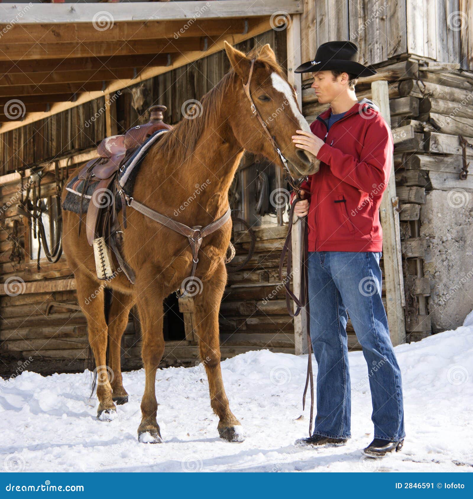 Man with horse. stock image. Image of full, color, stable 2846591