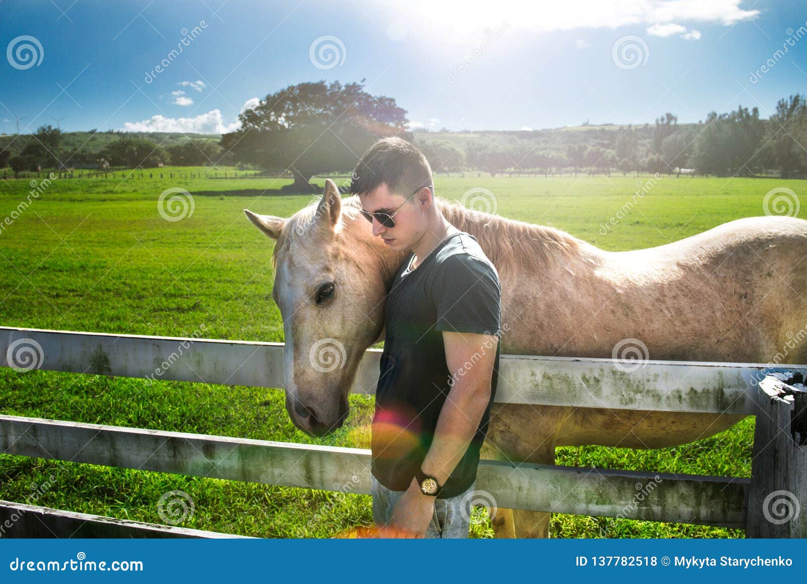 man hug white horse on rancho farm at sunny summer day.