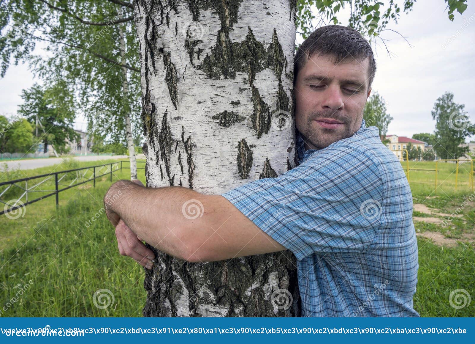 [Image: man-hugging-birch-tree-grove-native-vill...630517.jpg]