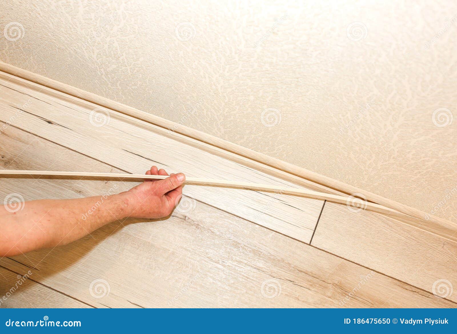 Man is Installing the Baseboard. Repair Works Indoors Stock Photo