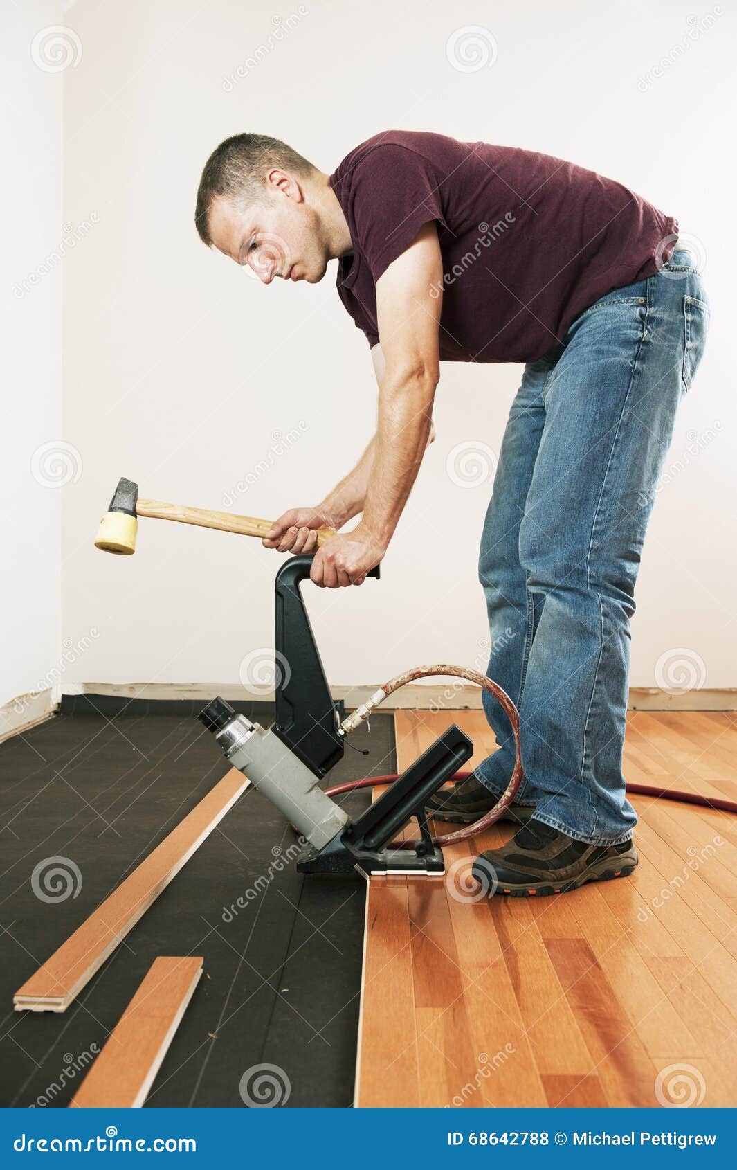 Man Installing Hardwood Floor Stock Photo Image of nailer, hammer 68642788