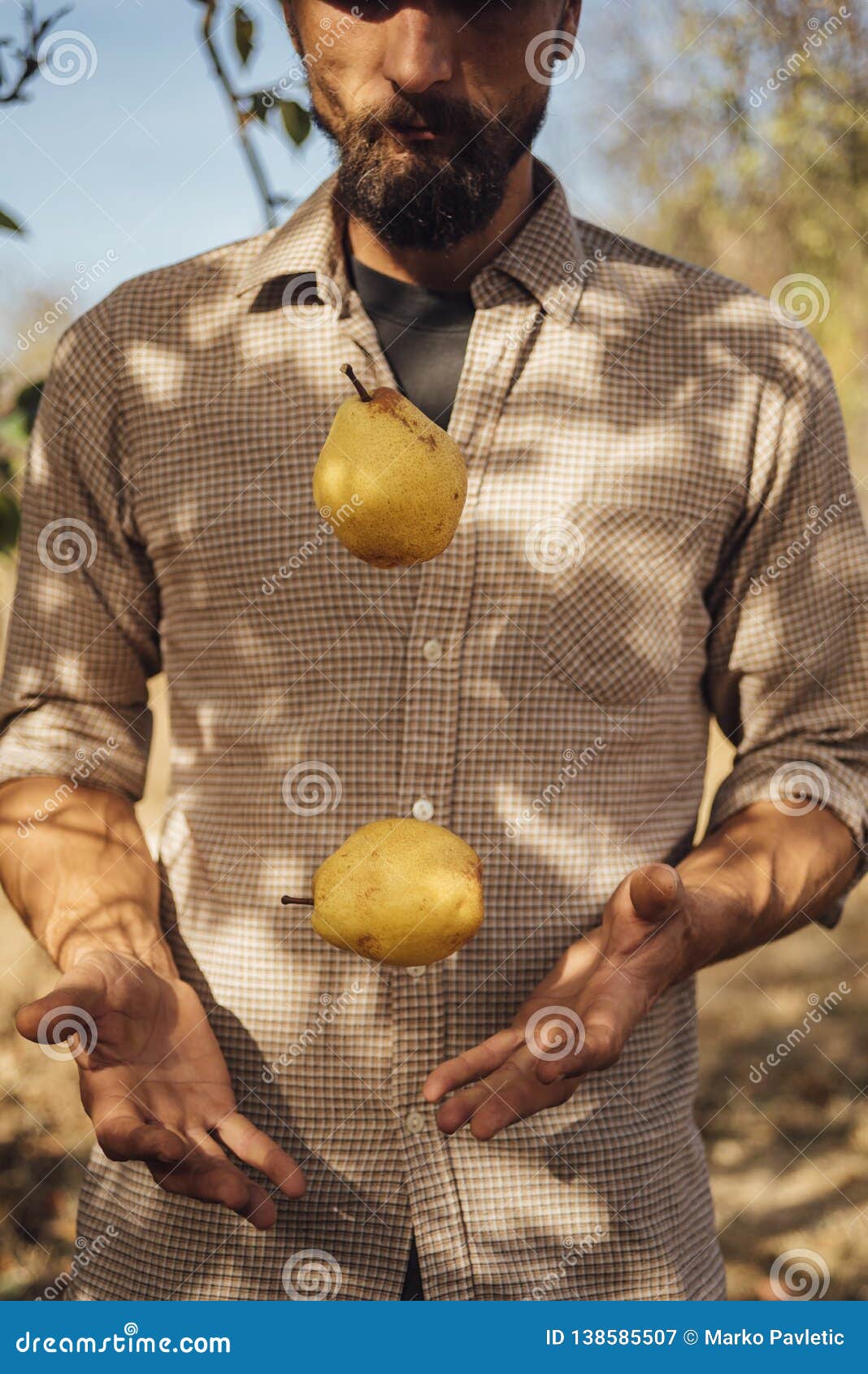 Man Juggling with Yellow Pears Stock Image Image of fruit, light