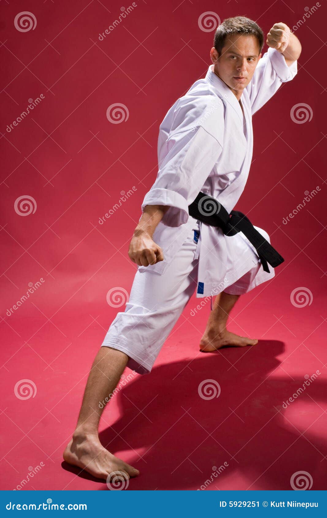 Karate Poses Against The Backdrop Of The City Stock Photo, Picture and  Royalty Free Image. Image 10024048.