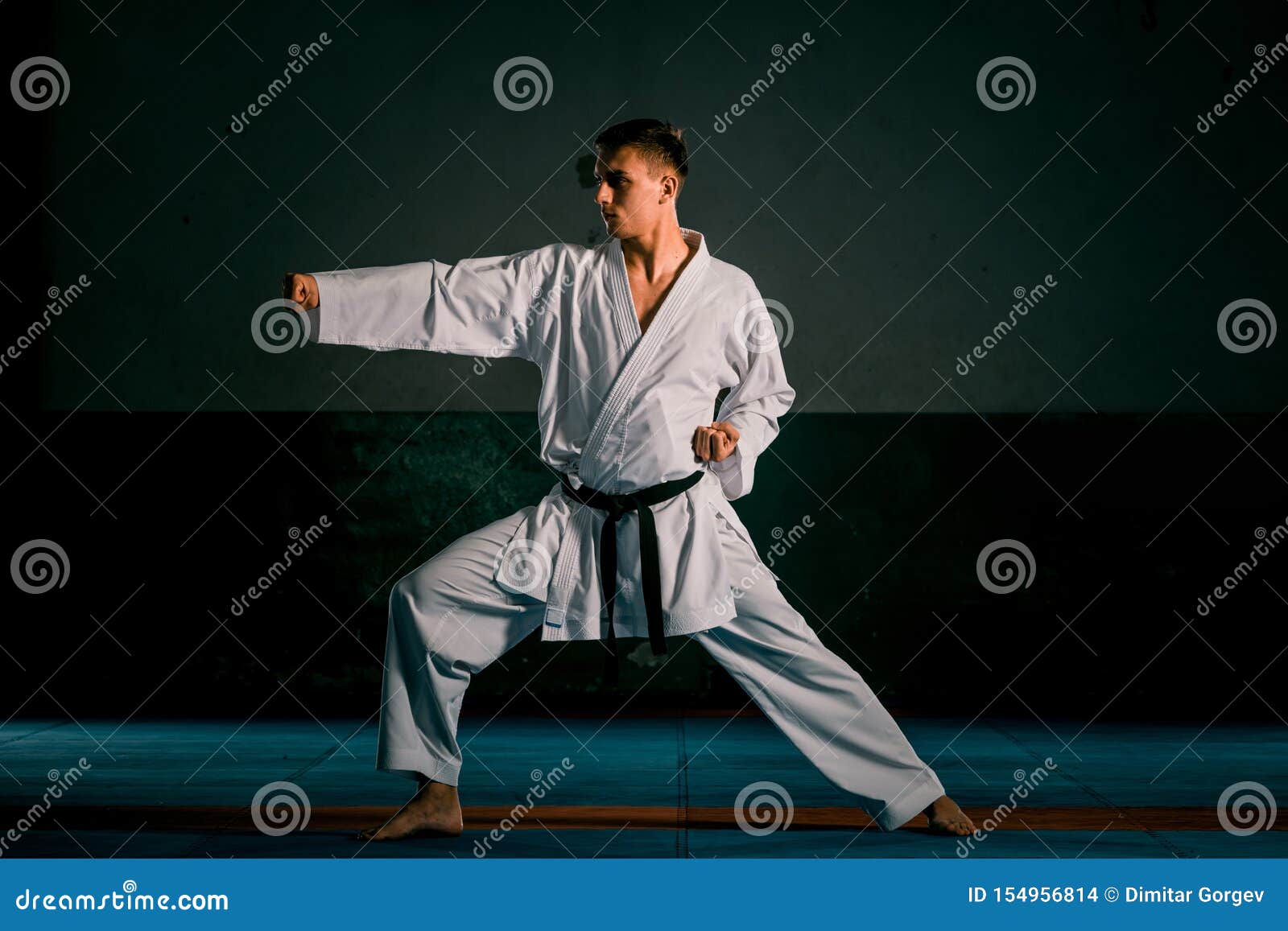 real karate moves