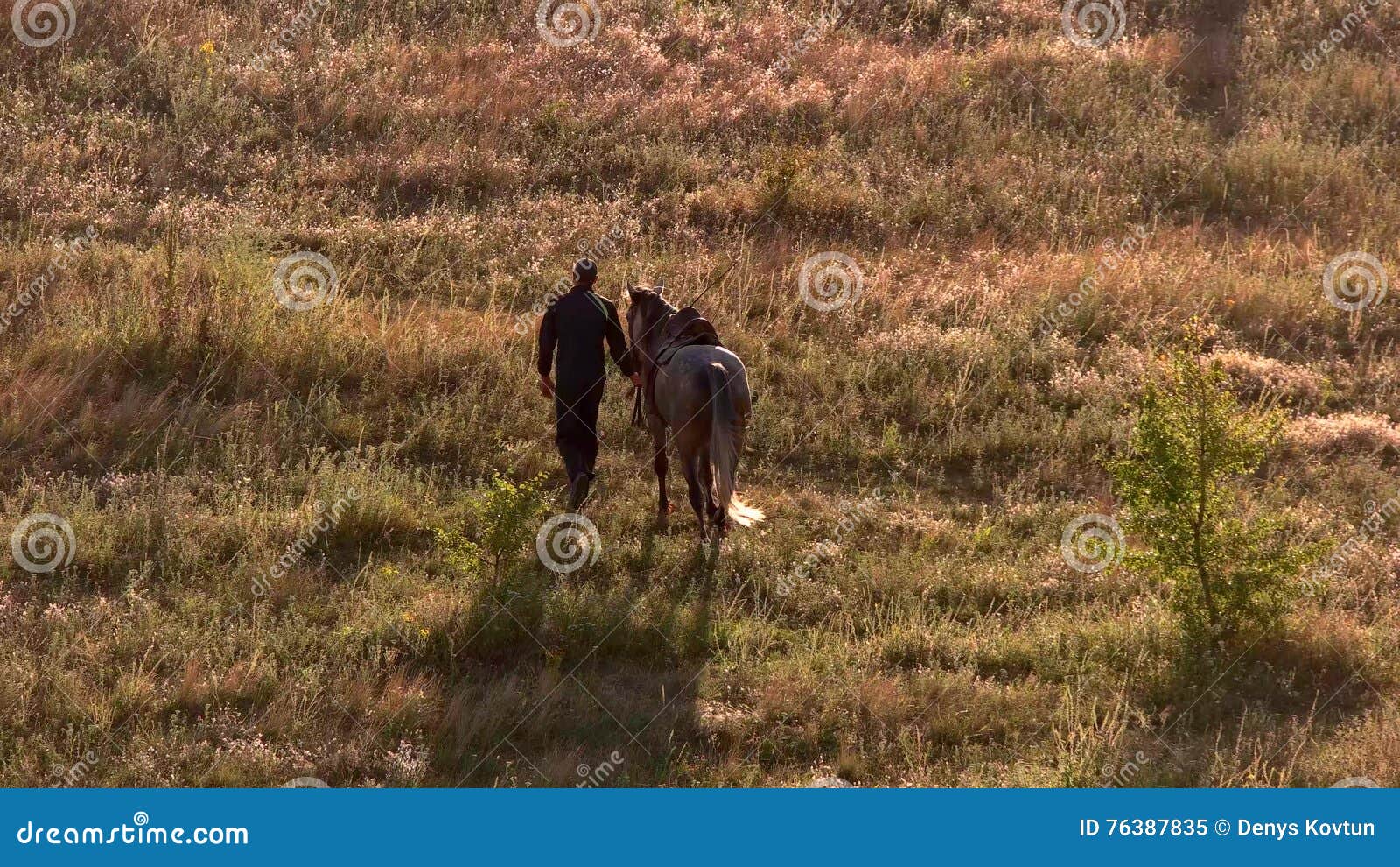 Man is leading a horse. stock video. Video of farm, hill - 76387835