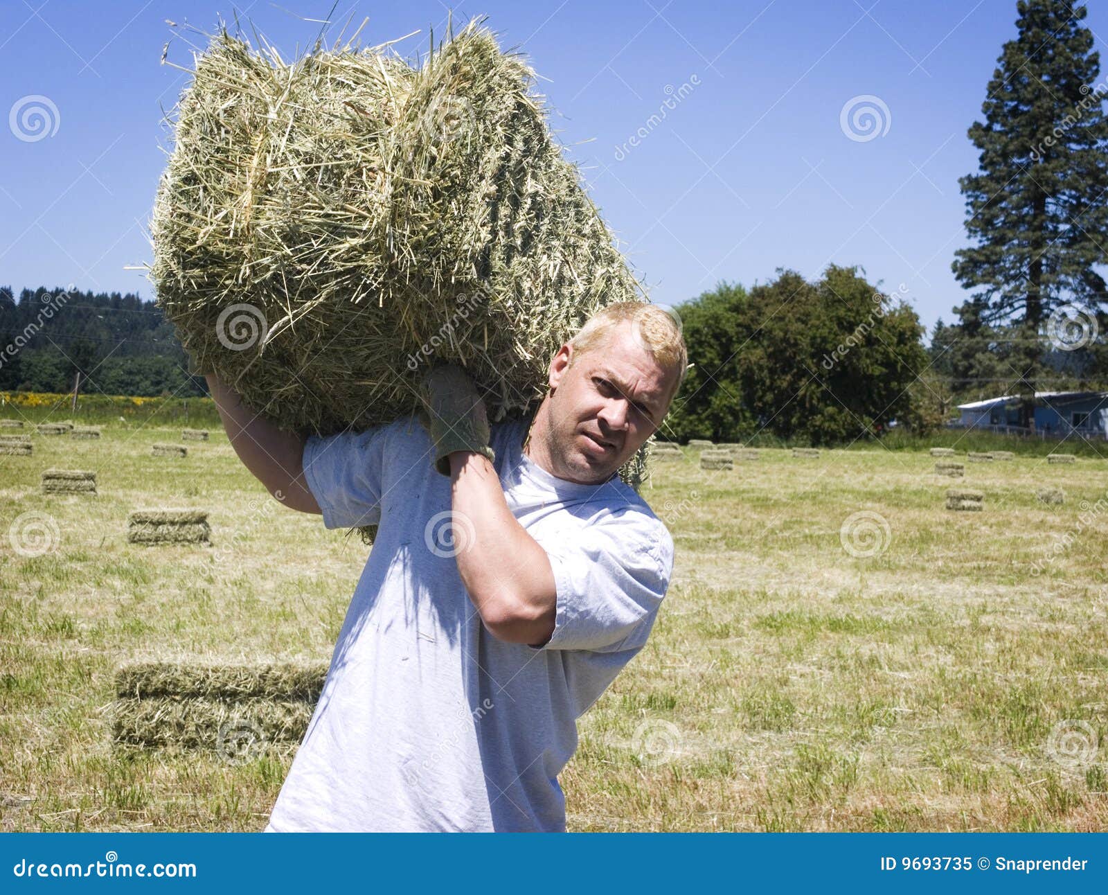 man lifting hay bale