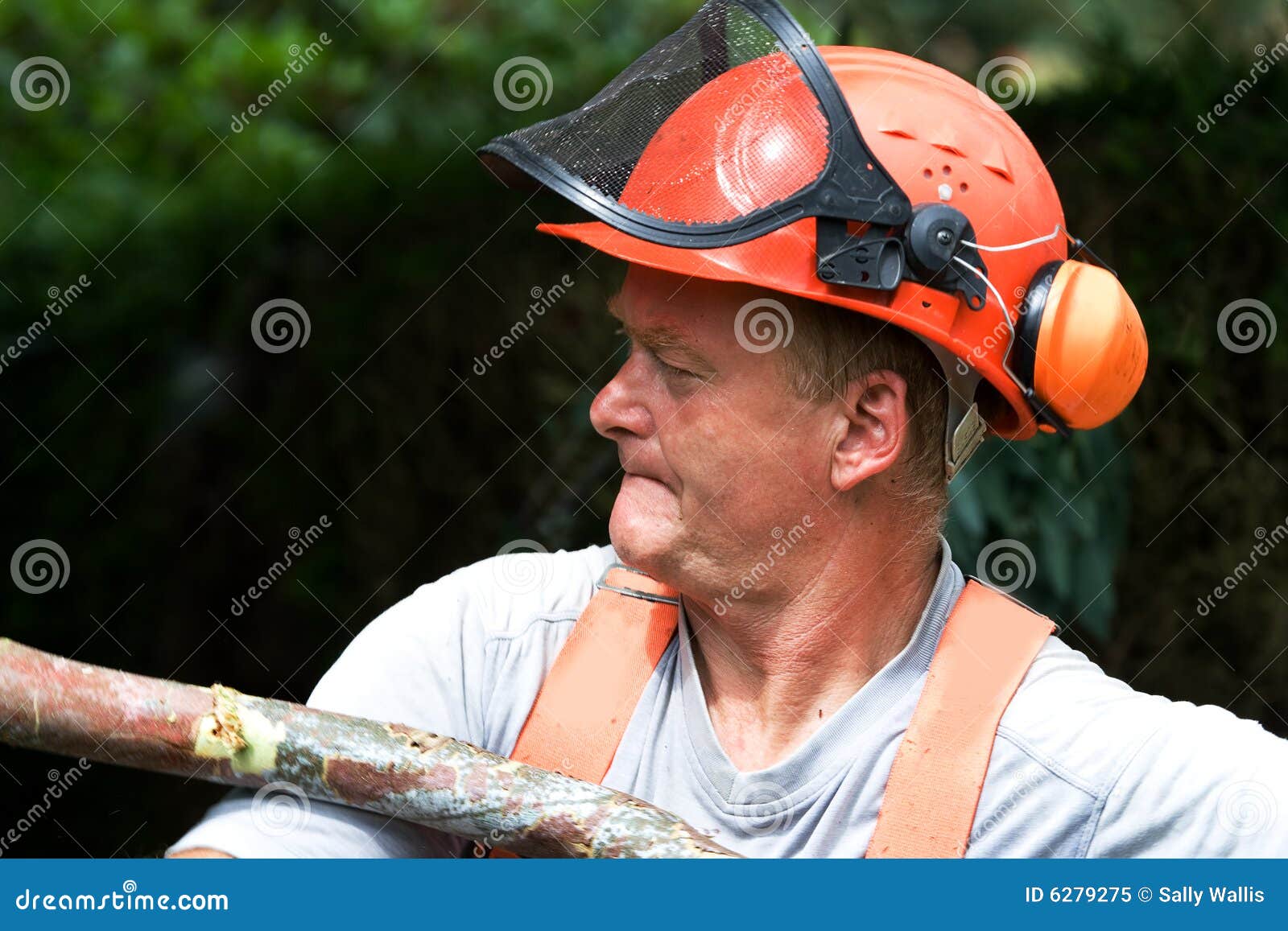 Man lifting Heavy log stock image. Image of toil, wood 6279275