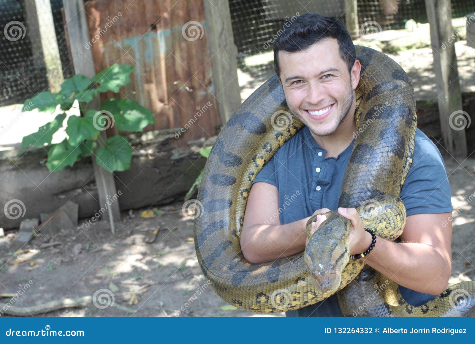 Man Loving His Gorgeous Anaconda Stock Photo - Image of love