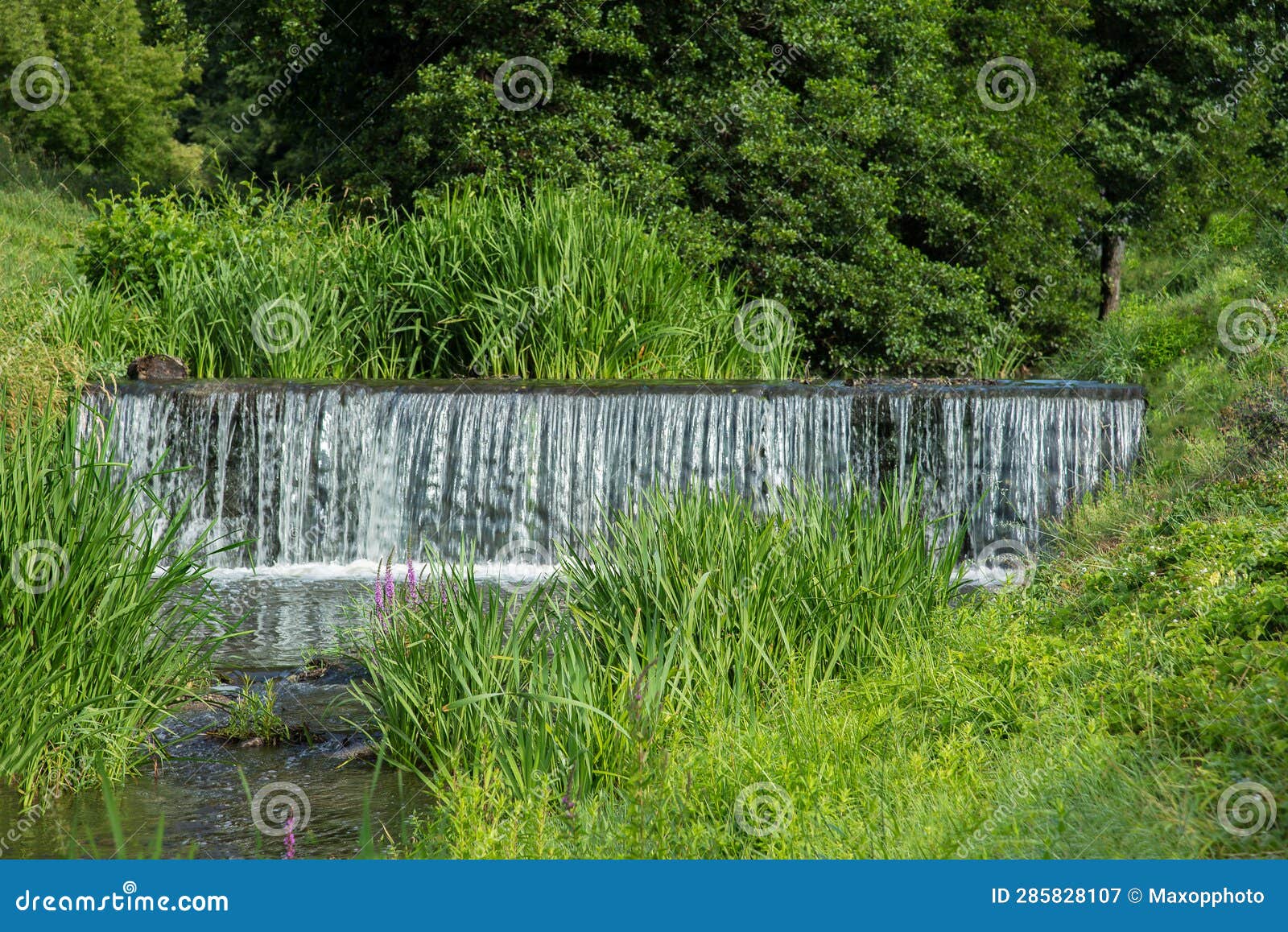 Man Made Cascade in the Creek in the Summer Stock Image Image of