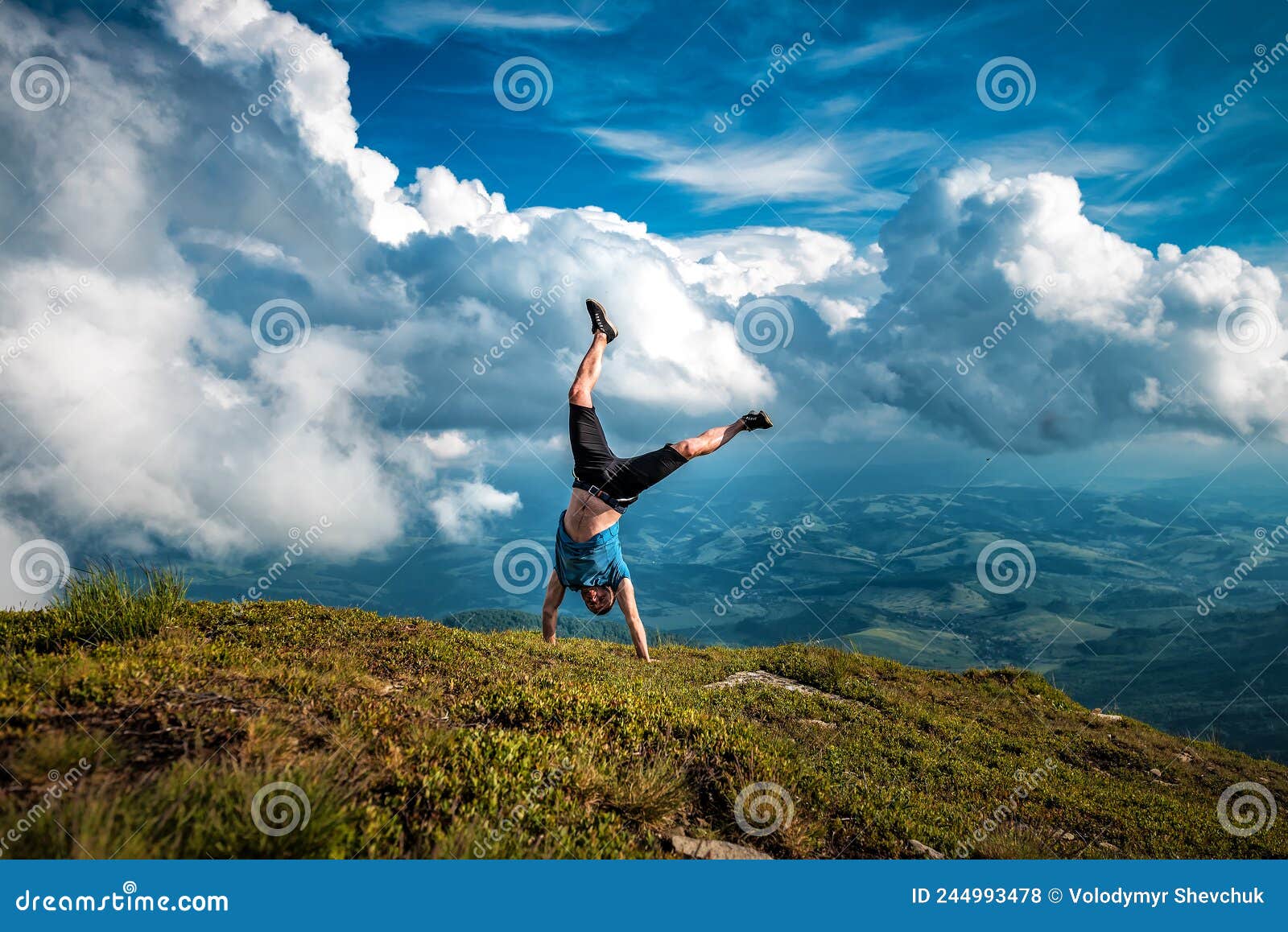 Acrobatic Upside-down Female Downy Woodpecker Picoides Pubescens At