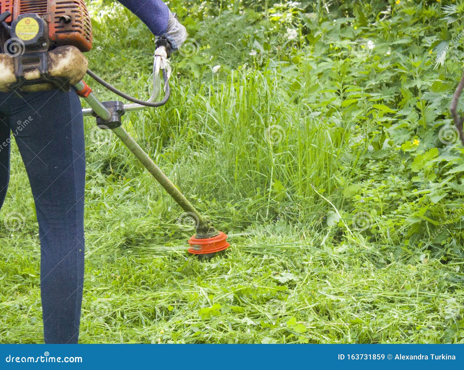 Man with a Manual Lawn Mower Mows the Grass Stock Image Image of