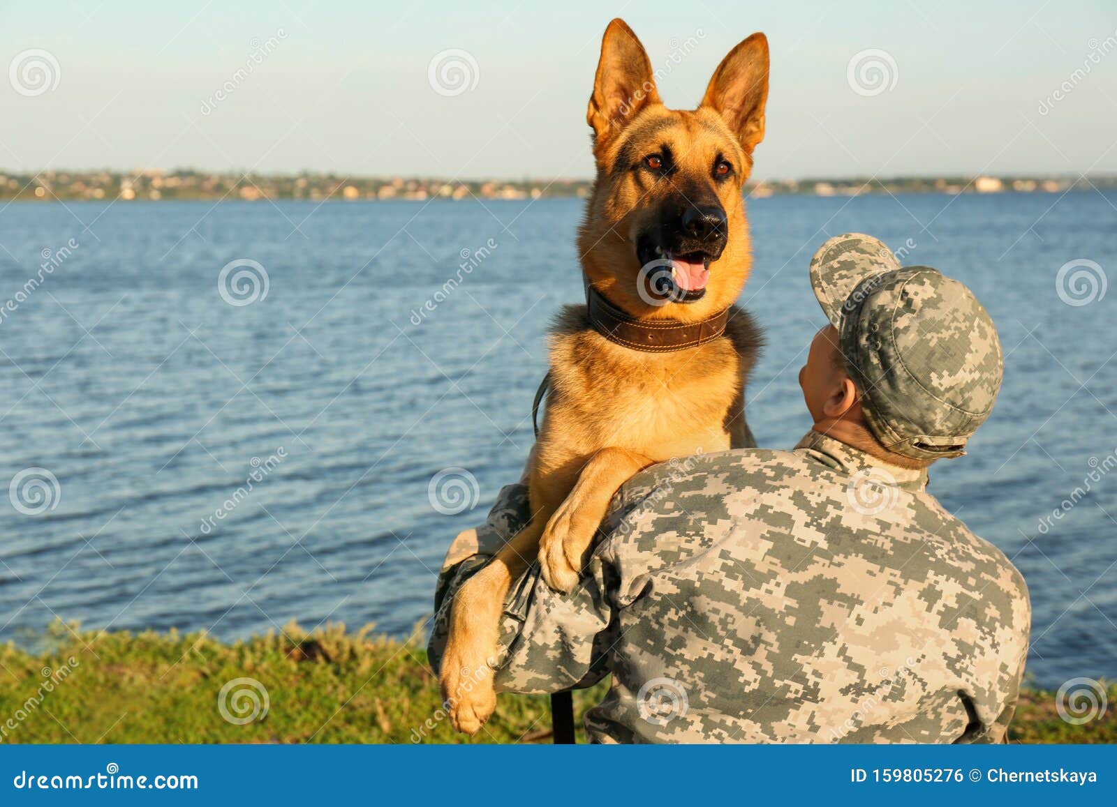 Man In Military Uniform With German Shepherd Dog Stock Photo Image Of Army Defender 159805276