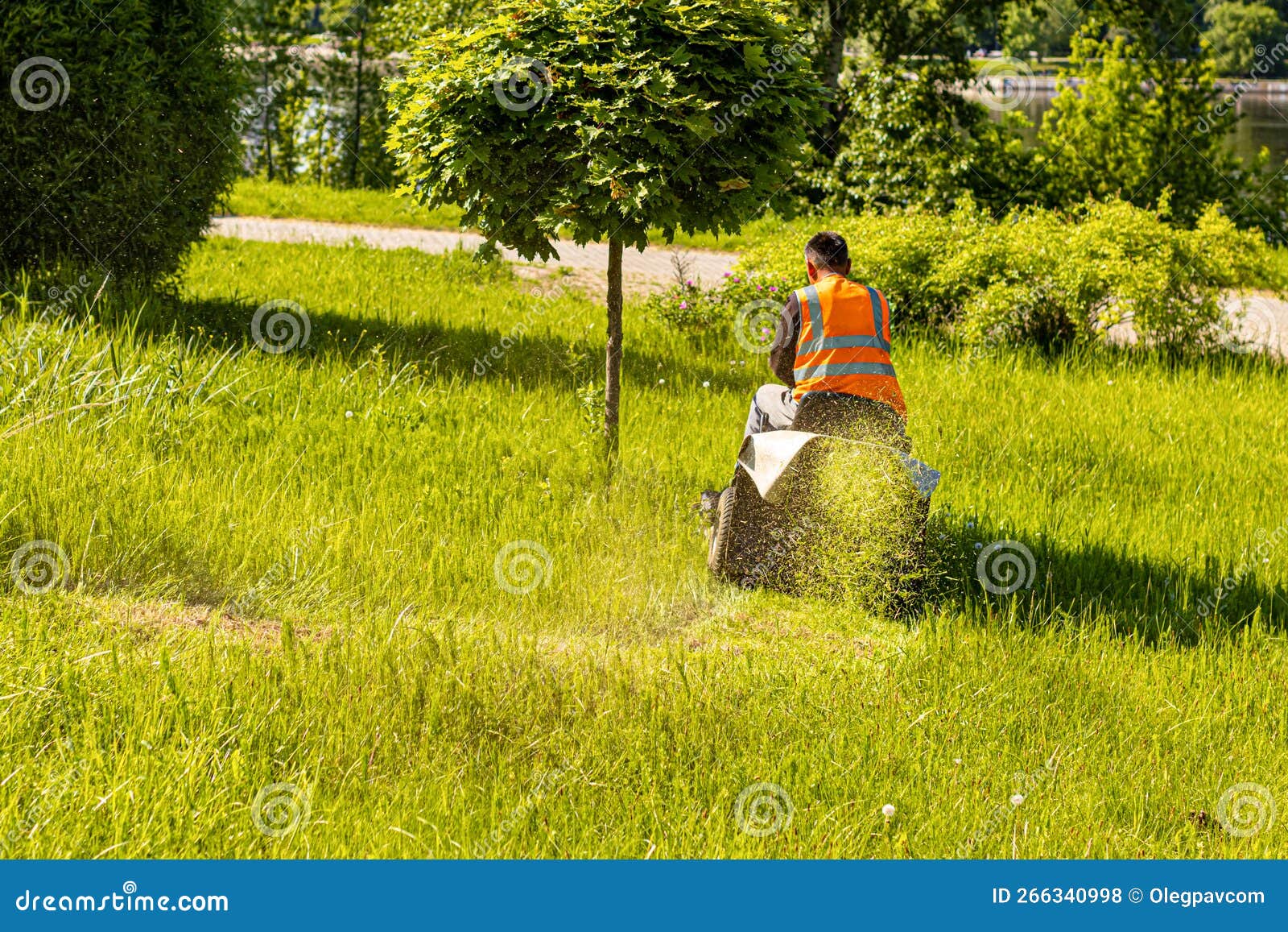 Man Mowing the Lawn on a Lawn Mower. Stock Photo - Image of scythe