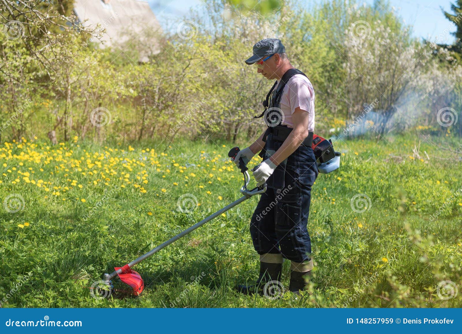 A Man Mows the Grass on the Lawn Mowers. Overalls and Tools Stock Image ...