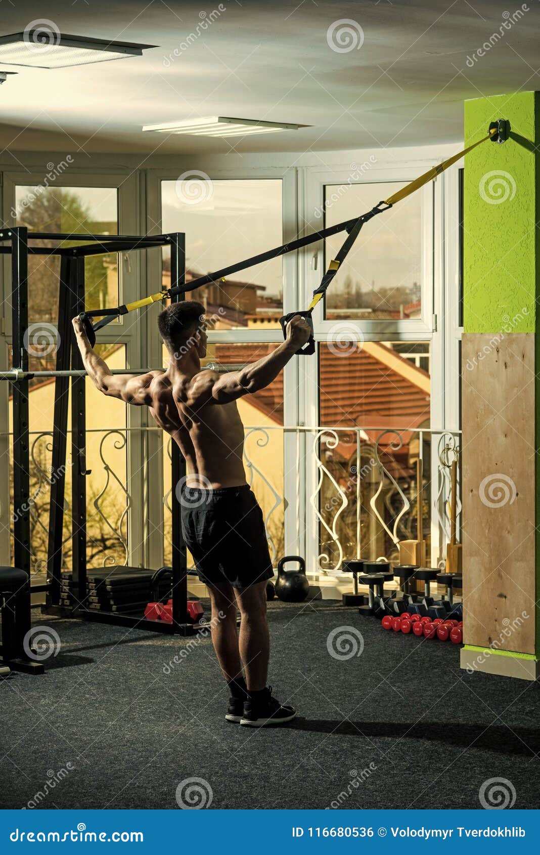 man with nude torso, and muscular back in gym enjoy training, trx. sport and gym concept. man with torso, sportsman