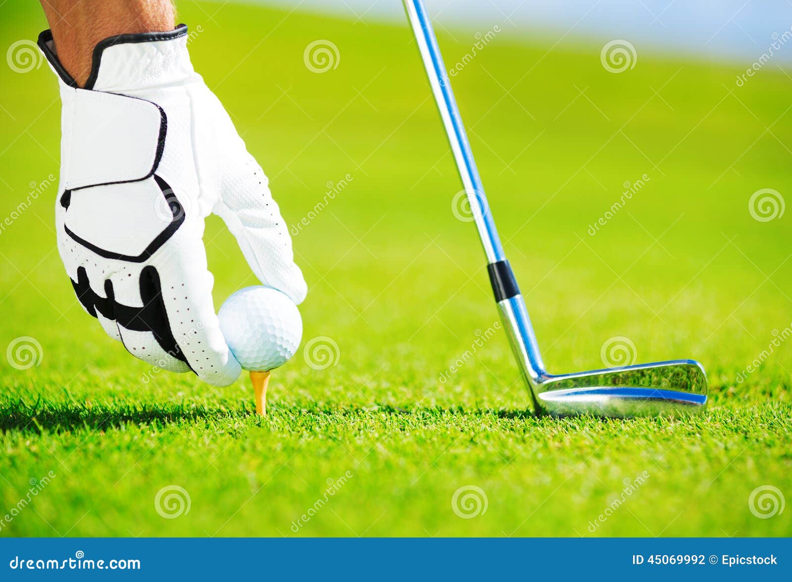Man Placing Golf Ball on Tee Stock Photo Image of focus, outdoor