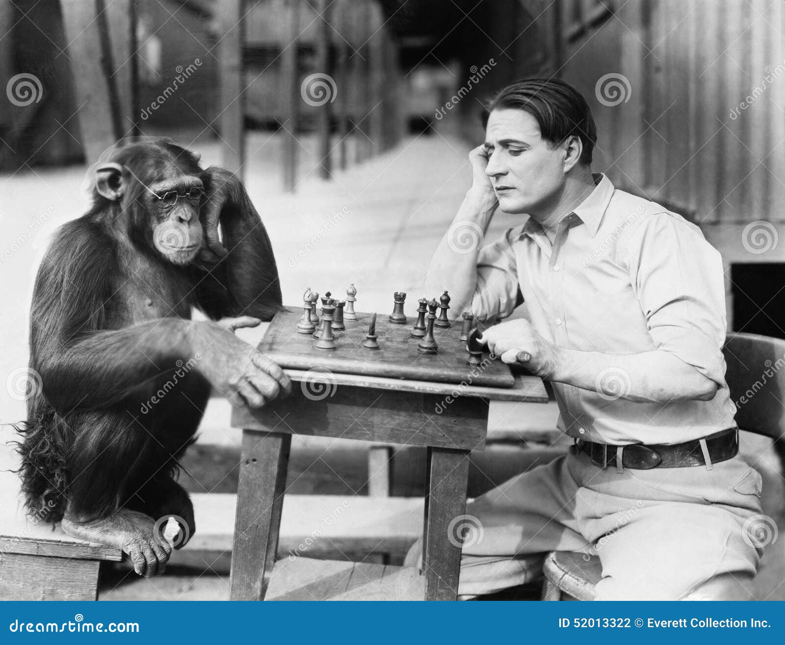 man playing chess with monkey