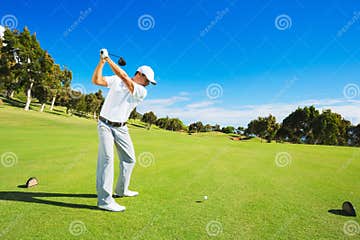 Man Playing Golf stock photo. Image of nature, portrait - 45069922