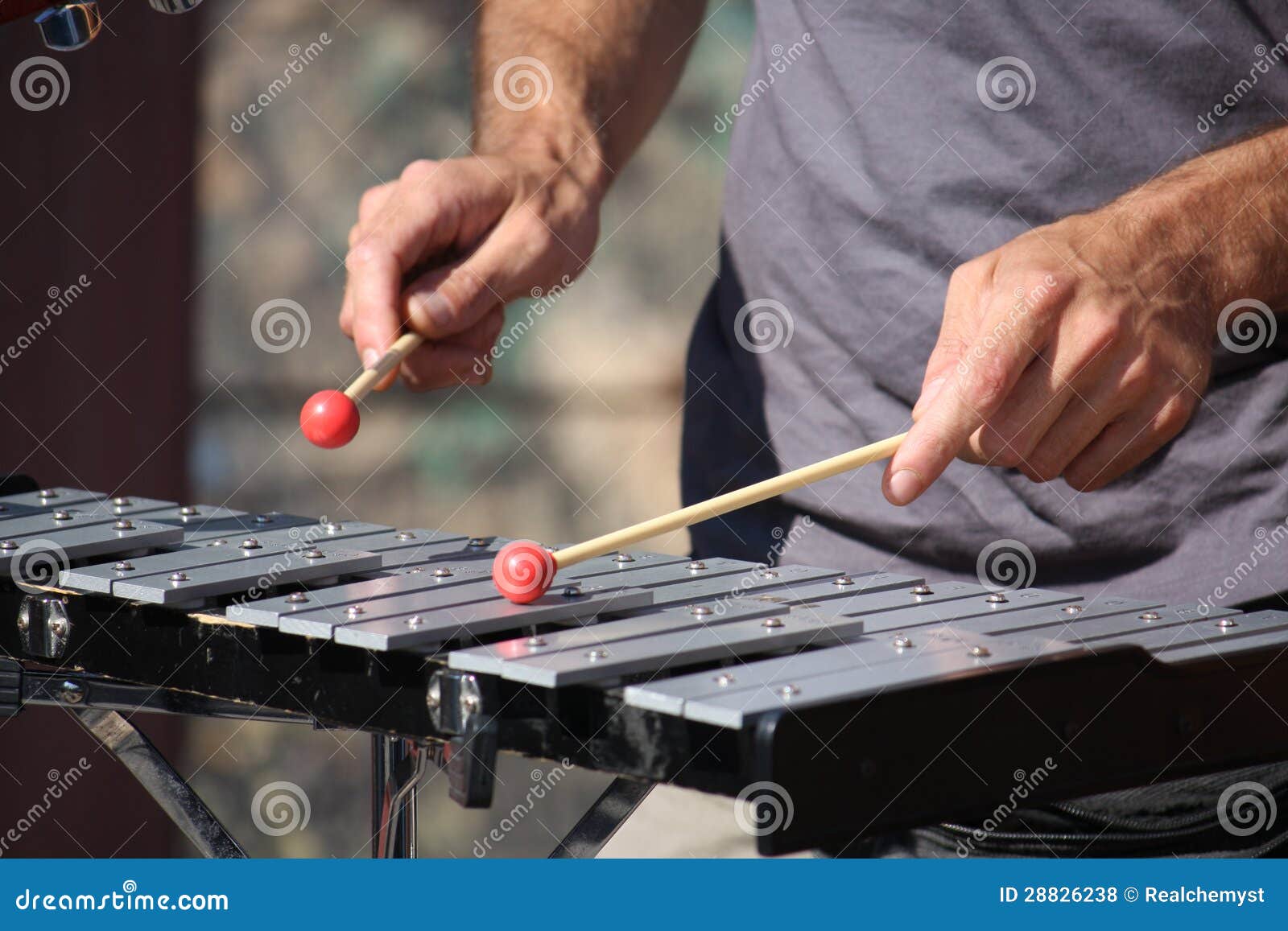 Man playing xylophone stock photo. Image of musical, performance 28826238