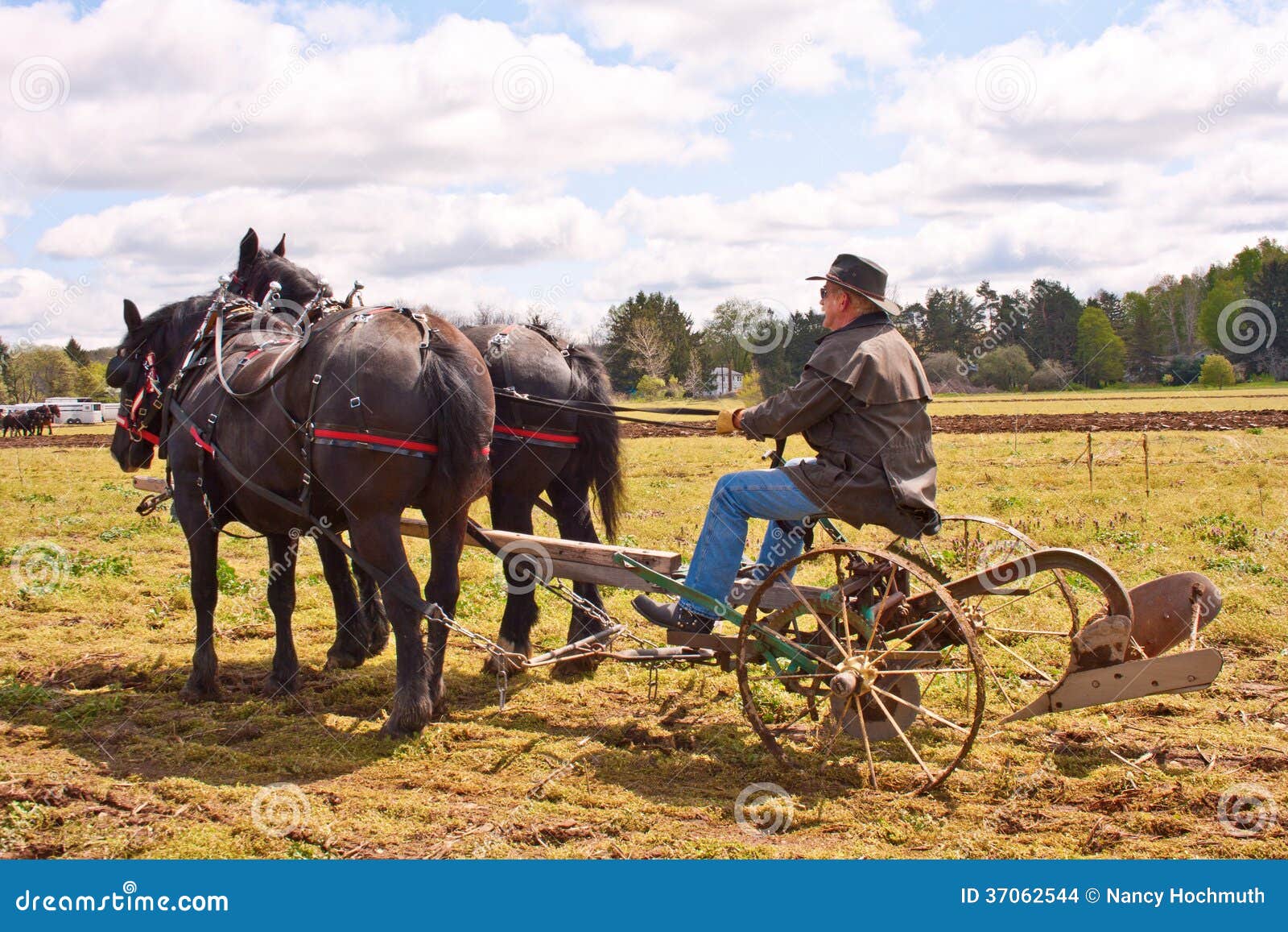 Man Plowing With Draft Horses Stock Images Image 37062544